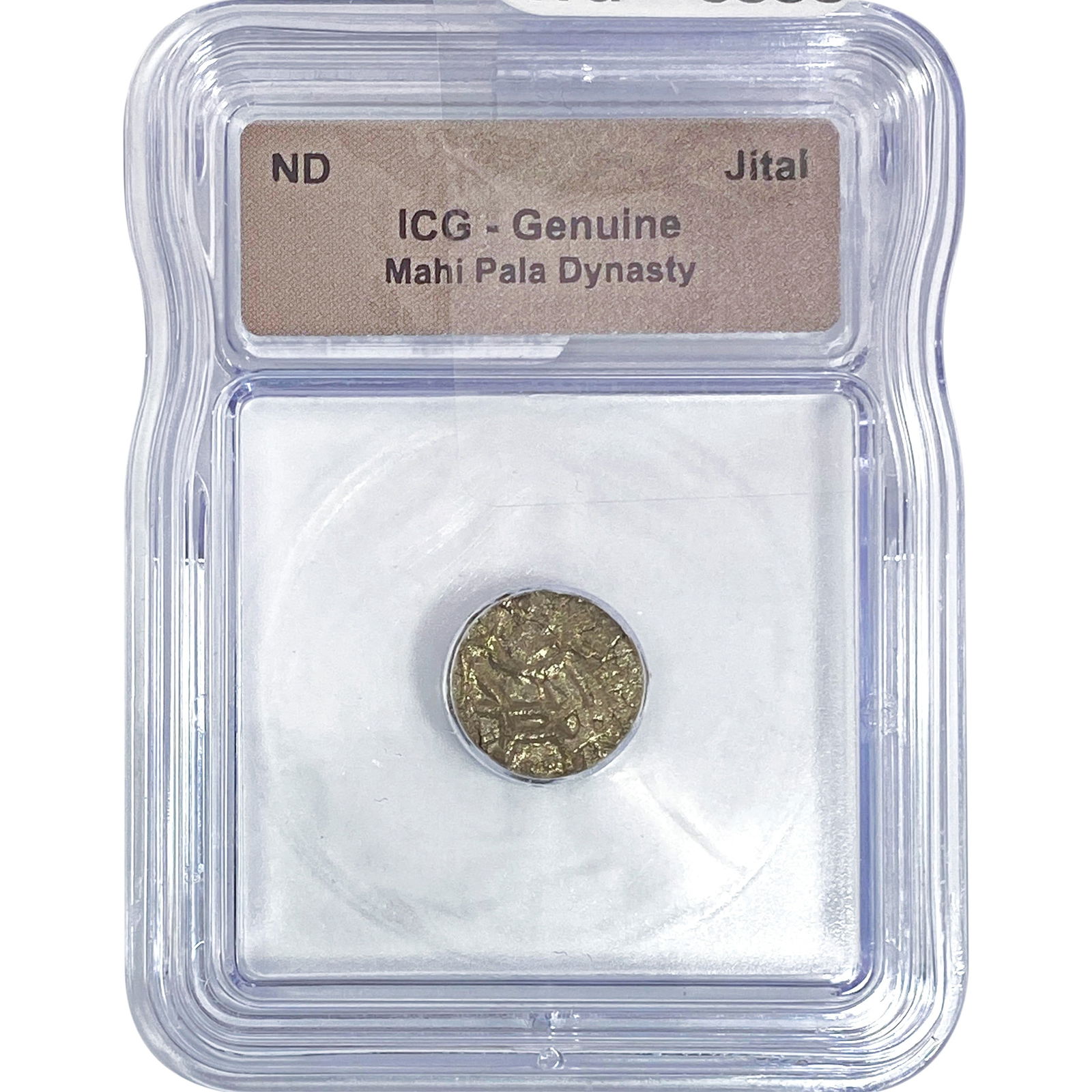 Mahi Pala Dynasty Jital ICG Genuine: Mahi Pala Dynasty Jital ICG Genuine