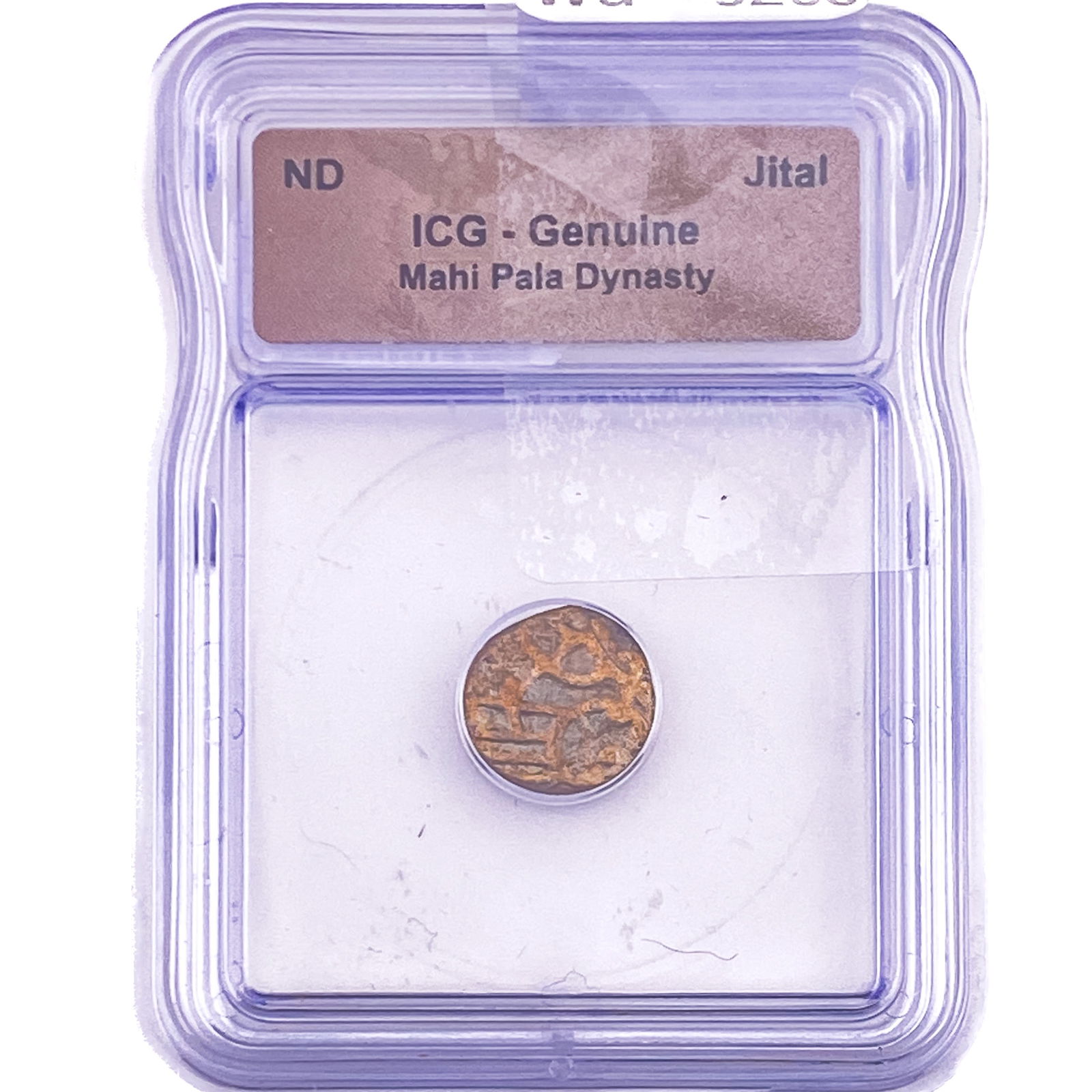 Mahi Pala Dynasty Jital ICG Genuine: Mahi Pala Dynasty Jital ICG Genuine