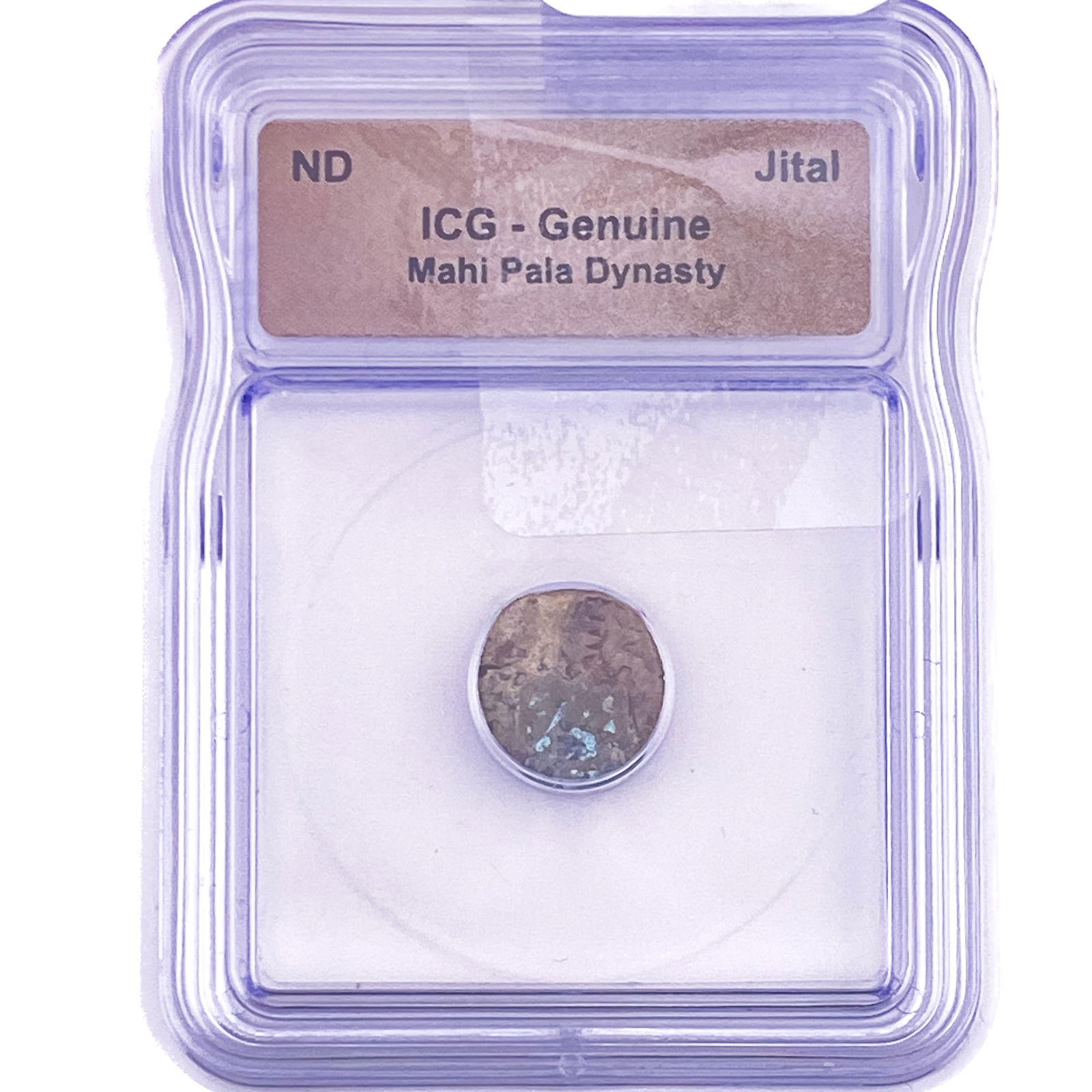 Mahi Pala Dynasty Jital ICG Genuine: Mahi Pala Dynasty Jital ICG Genuine