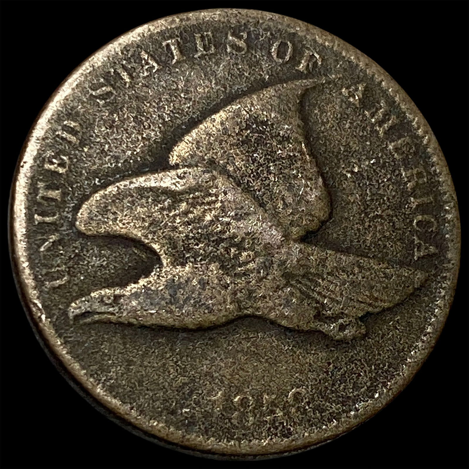 1856 Copper-Nickel Flying Eagle Cent HIGH GRADE: 1856 Copper-Nickel Flying Eagle Cent HIGH GRADE