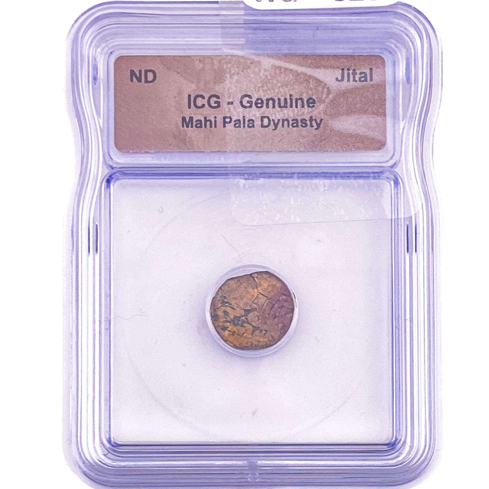 Mahi Pala Dynasty Jital ICG Genuine: Mahi Pala Dynasty Jital ICG Genuine