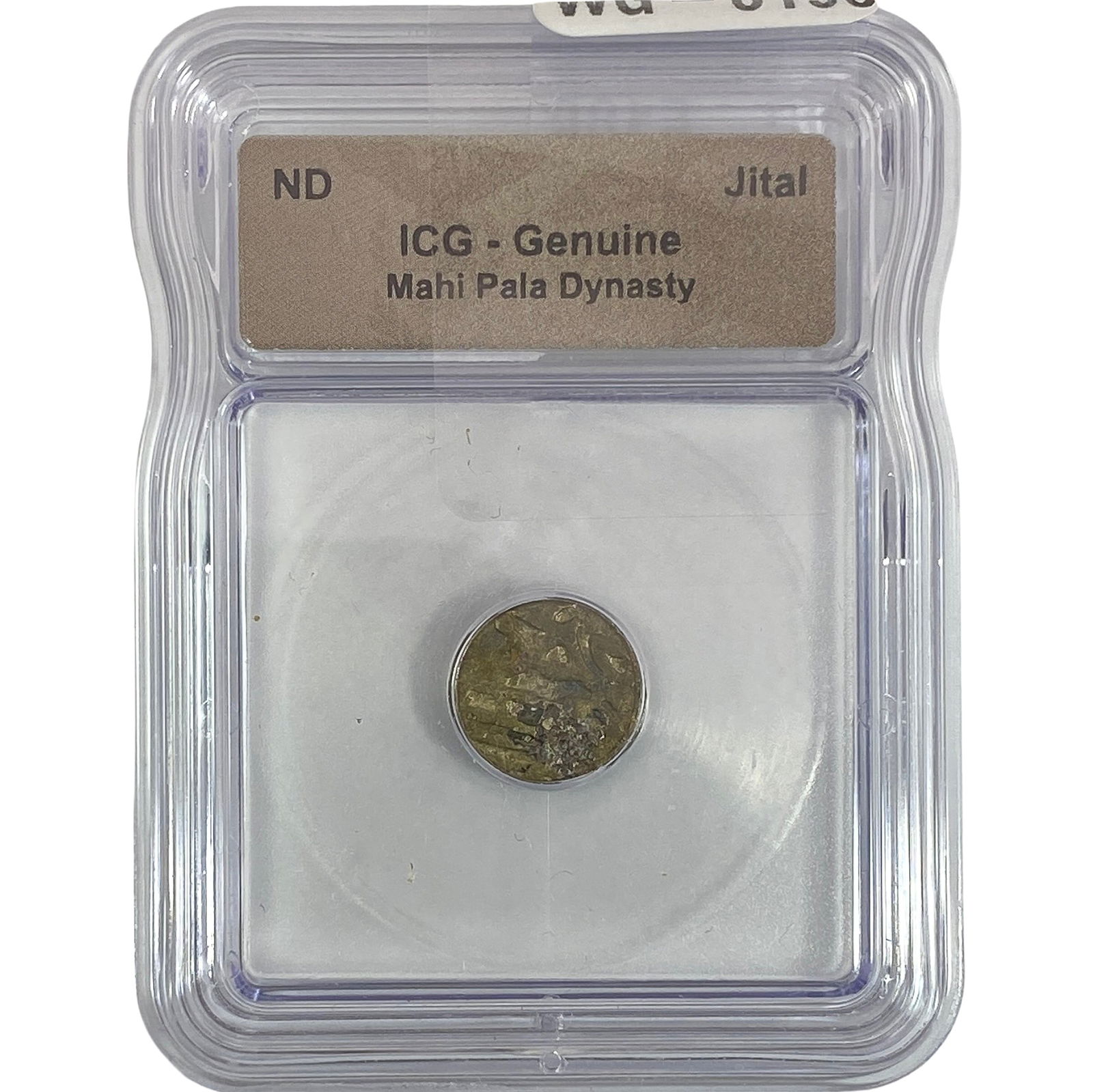 Mahi Pala Dynasty Jital ICG Genuine: Mahi Pala Dynasty Jital ICG Genuine
