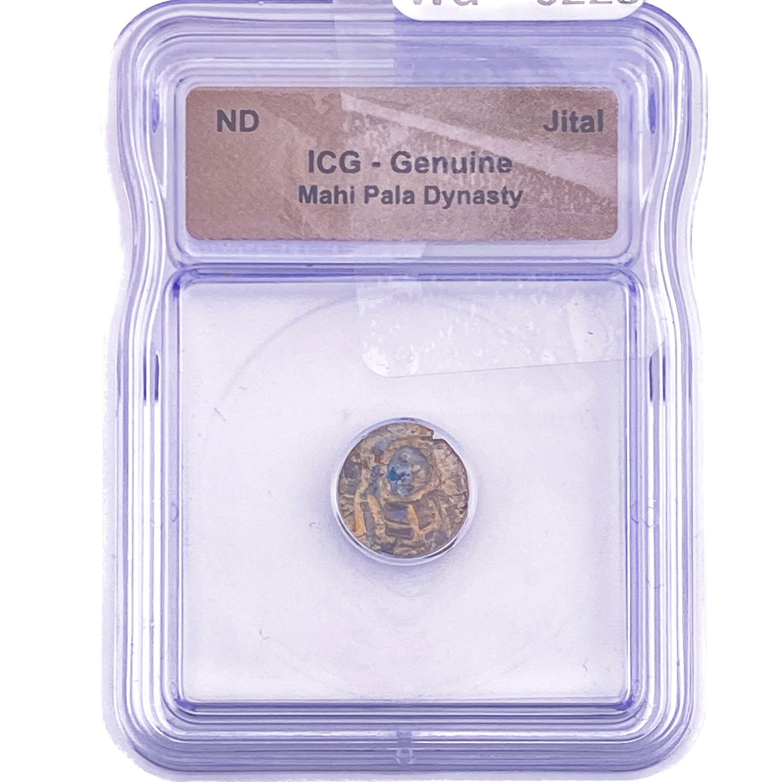 Mahi Pala Dynasty Jital ICG Genuine: Mahi Pala Dynasty Jital ICG Genuine