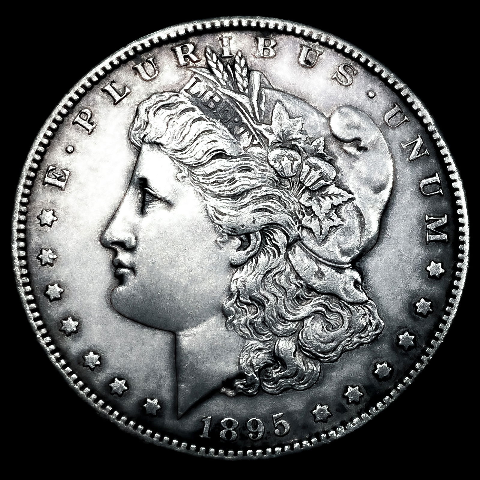 1895-S Morgan Silver Dollar: 1895-S Morgan Silver Dollar