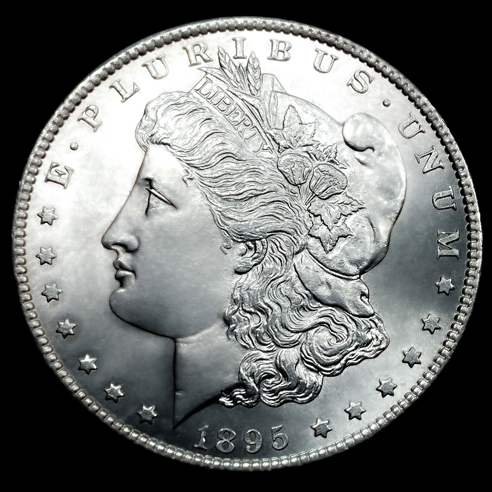 1895-S Morgan Silver Dollar (1 of 2)