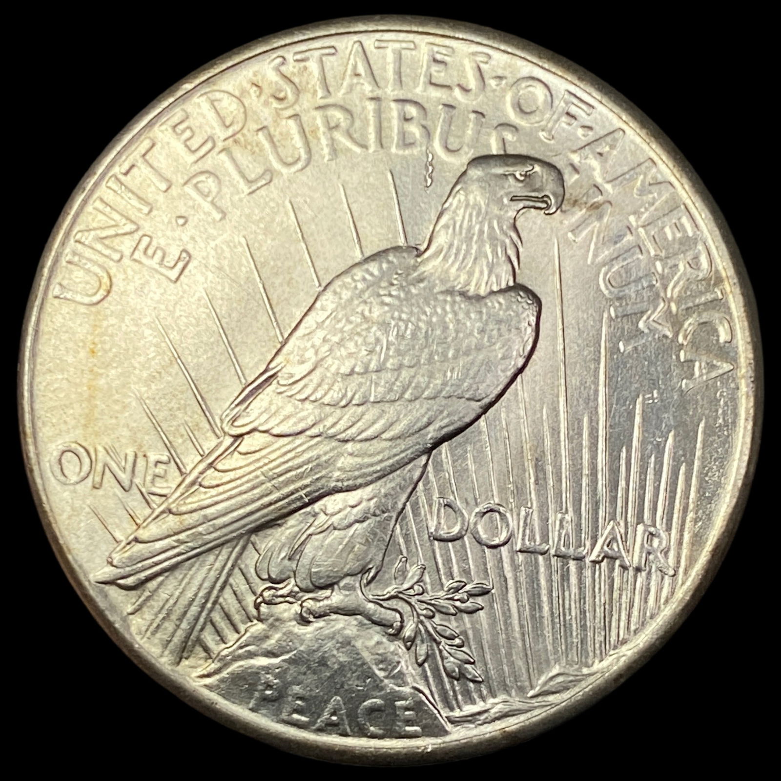 1925 Peace Silver Dollar UNCIRCULATED - 2