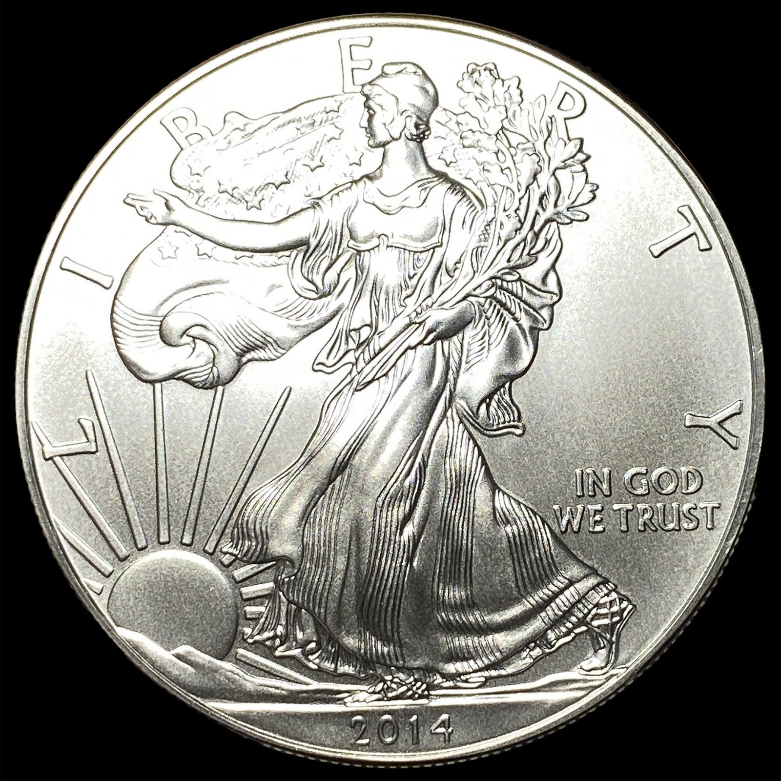 2014 1 oz Silver American Eagle $1 SUPERB GEM BU (1 of 2)