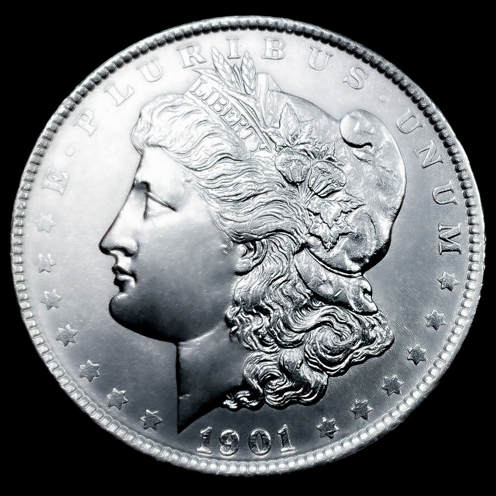 1901 Morgan Silver Dollar (1 of 2)
