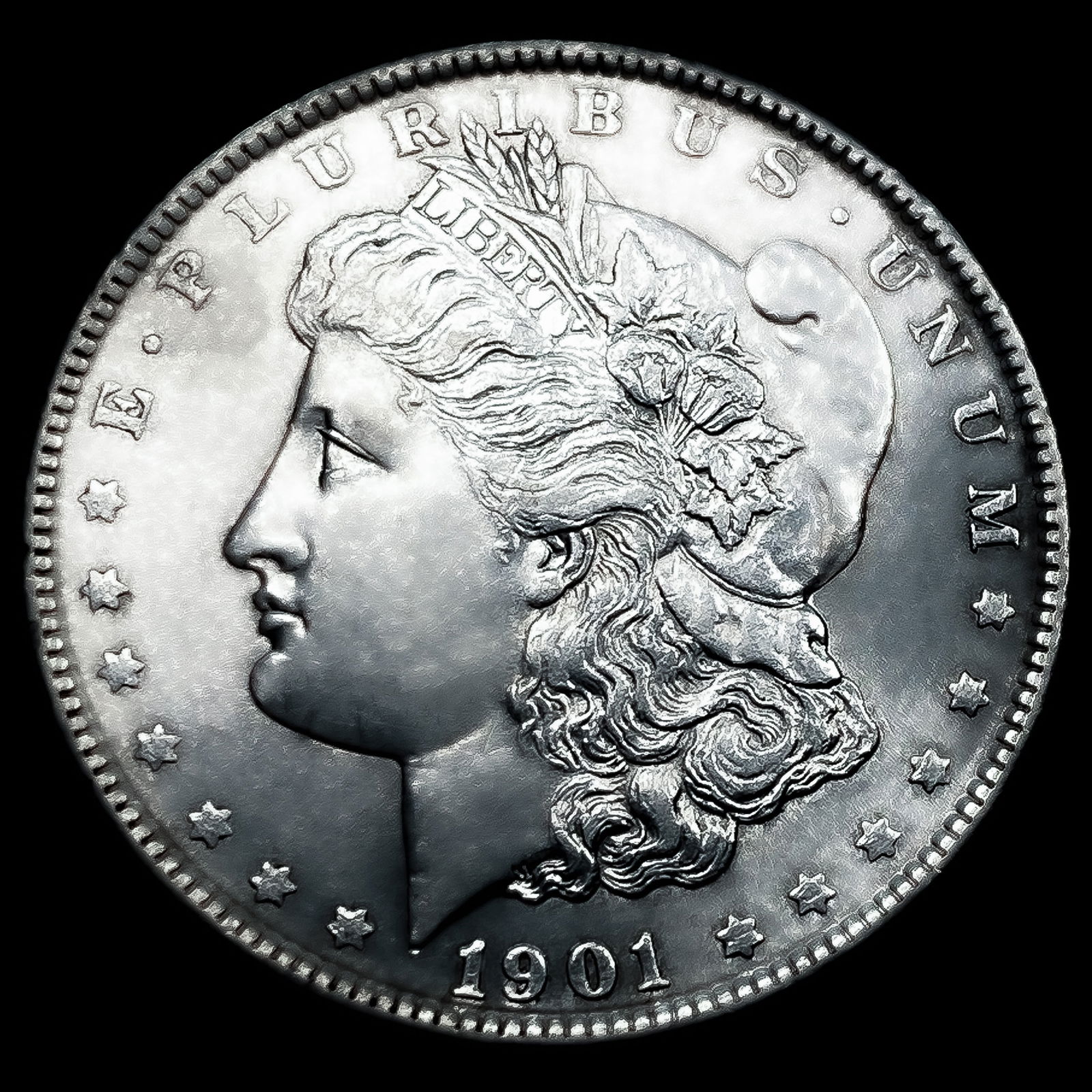 1901 Morgan Silver Dollar (1 of 2)