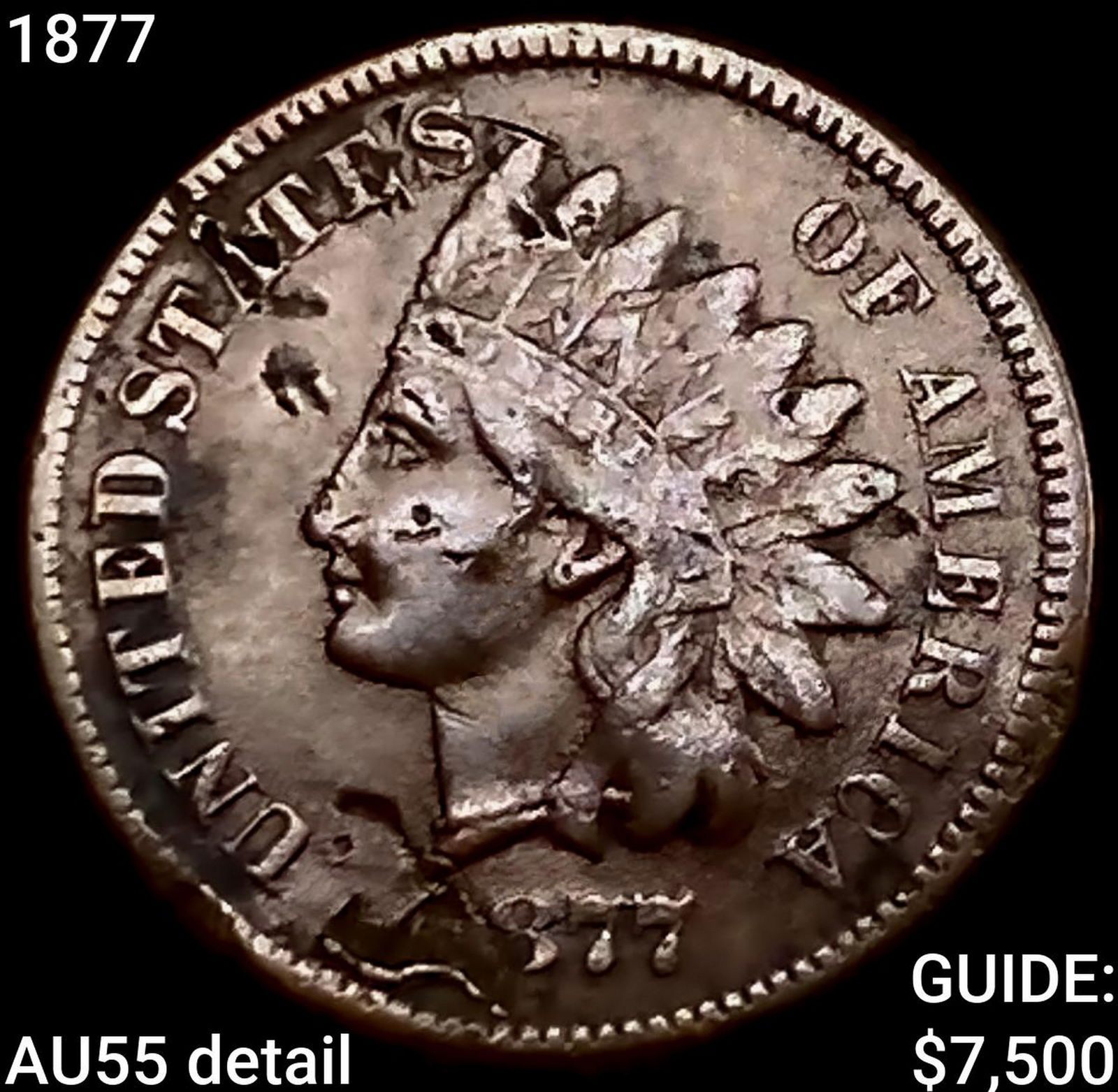 1877 Indian Head Cent HIGH GRADE: 1877 Indian Head Cent HIGH GRADE