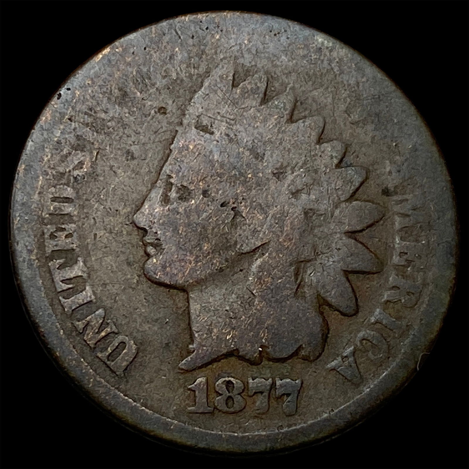 1877 Indian Head Cent NICELY CIRCULATED (1 of 2)