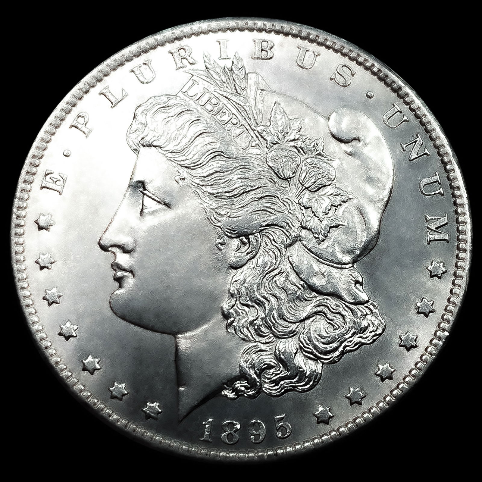 1895-S Morgan Silver Dollar (1 of 2)