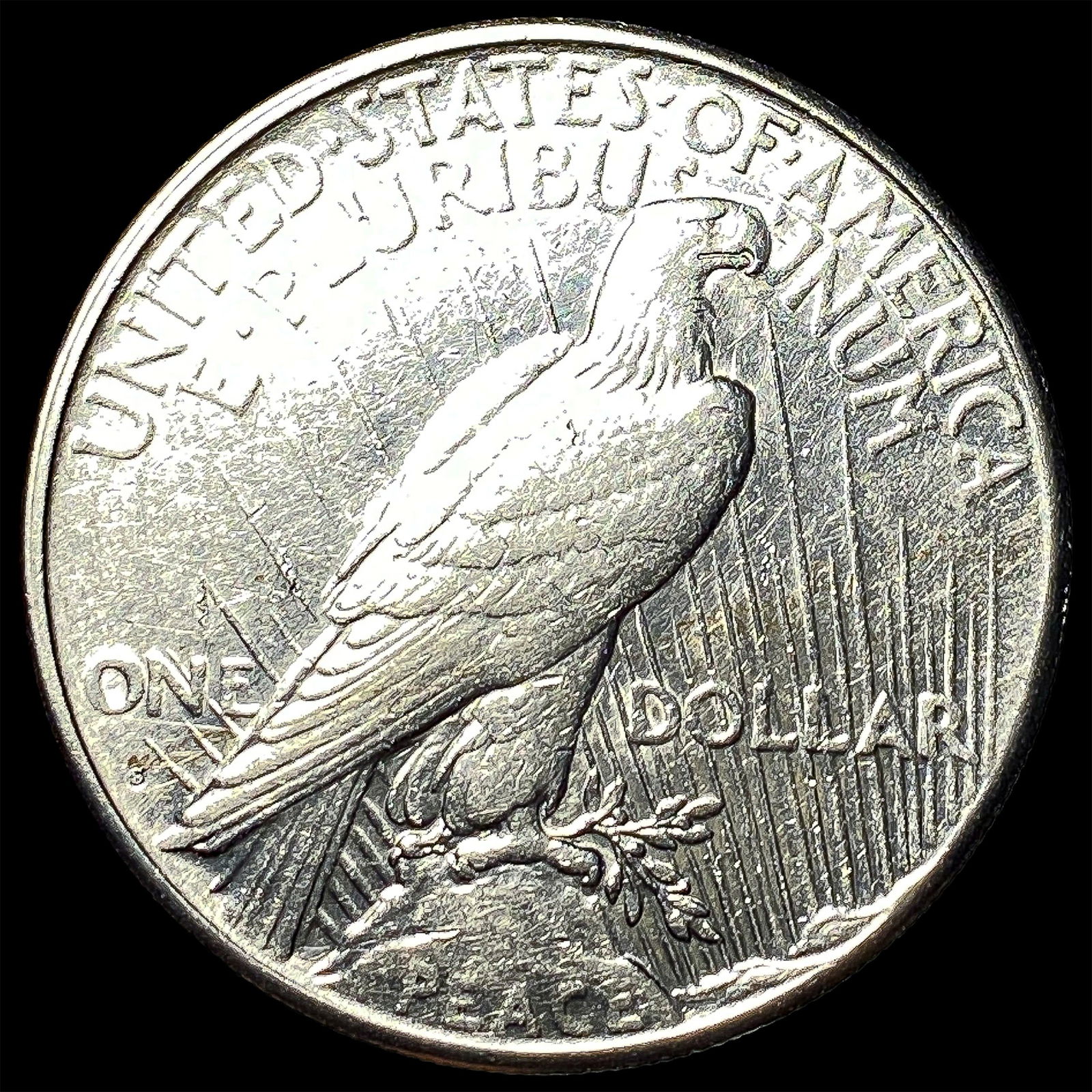 1925 Peace Silver Dollar CLOSELY UNCIRCULATED - 2