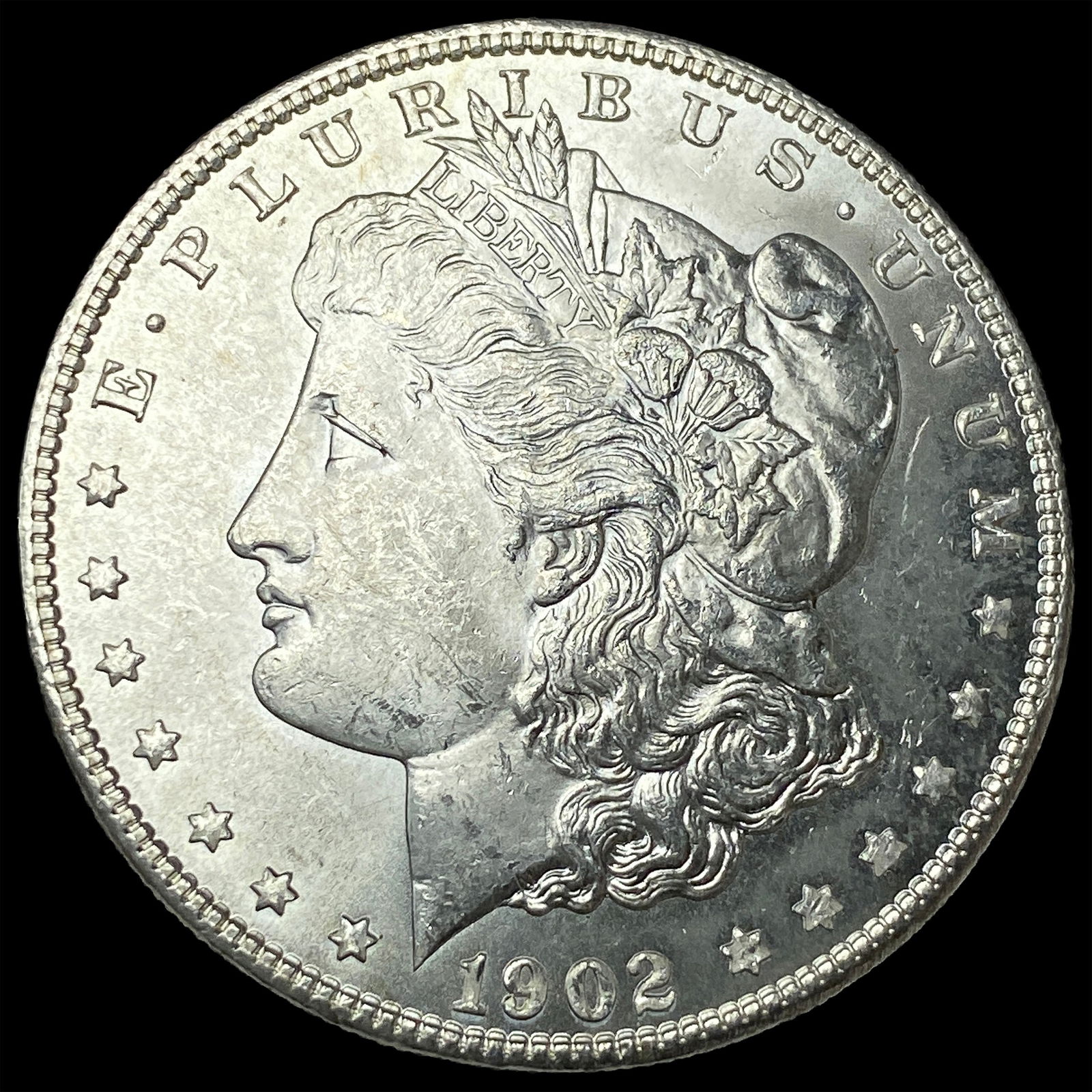 1902 Morgan Silver Dollar CHOICE BU (1 of 2)