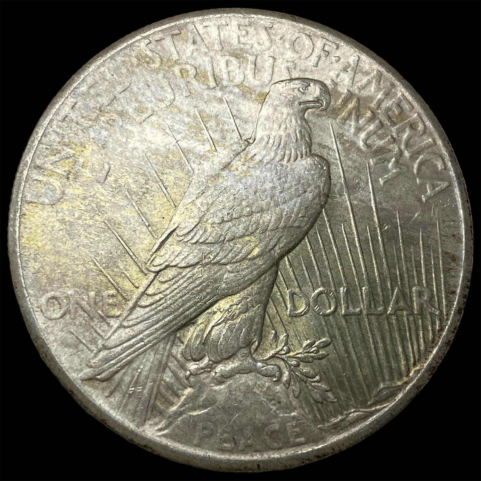 1925 Silver Peace Dollar UNCIRCULATED - 2
