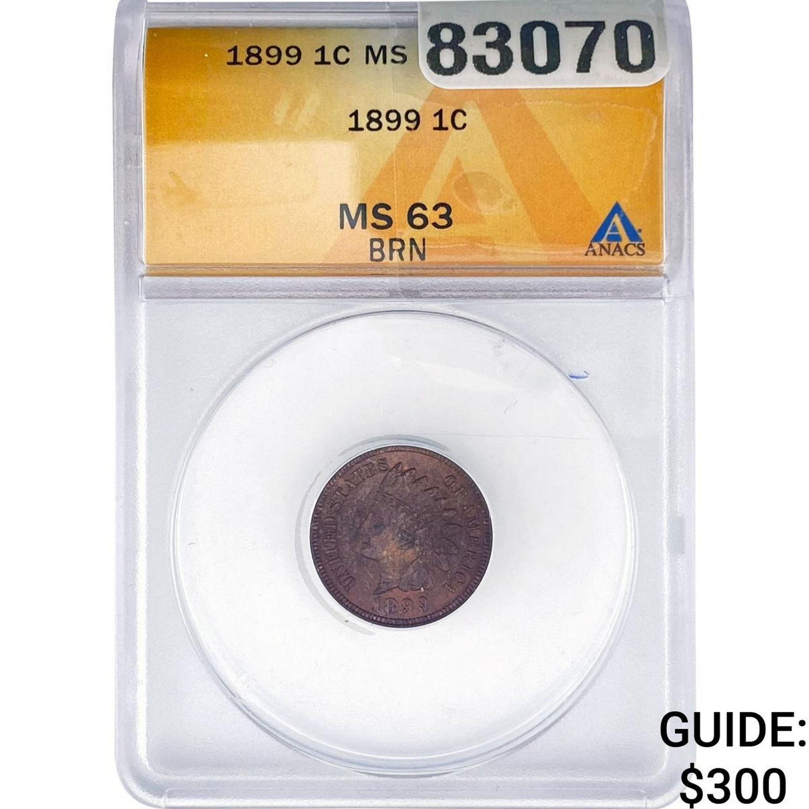1899 Indian Head Cent ANACS MS63 BRN: 1899 Indian Head Cent ANACS MS63 BRN