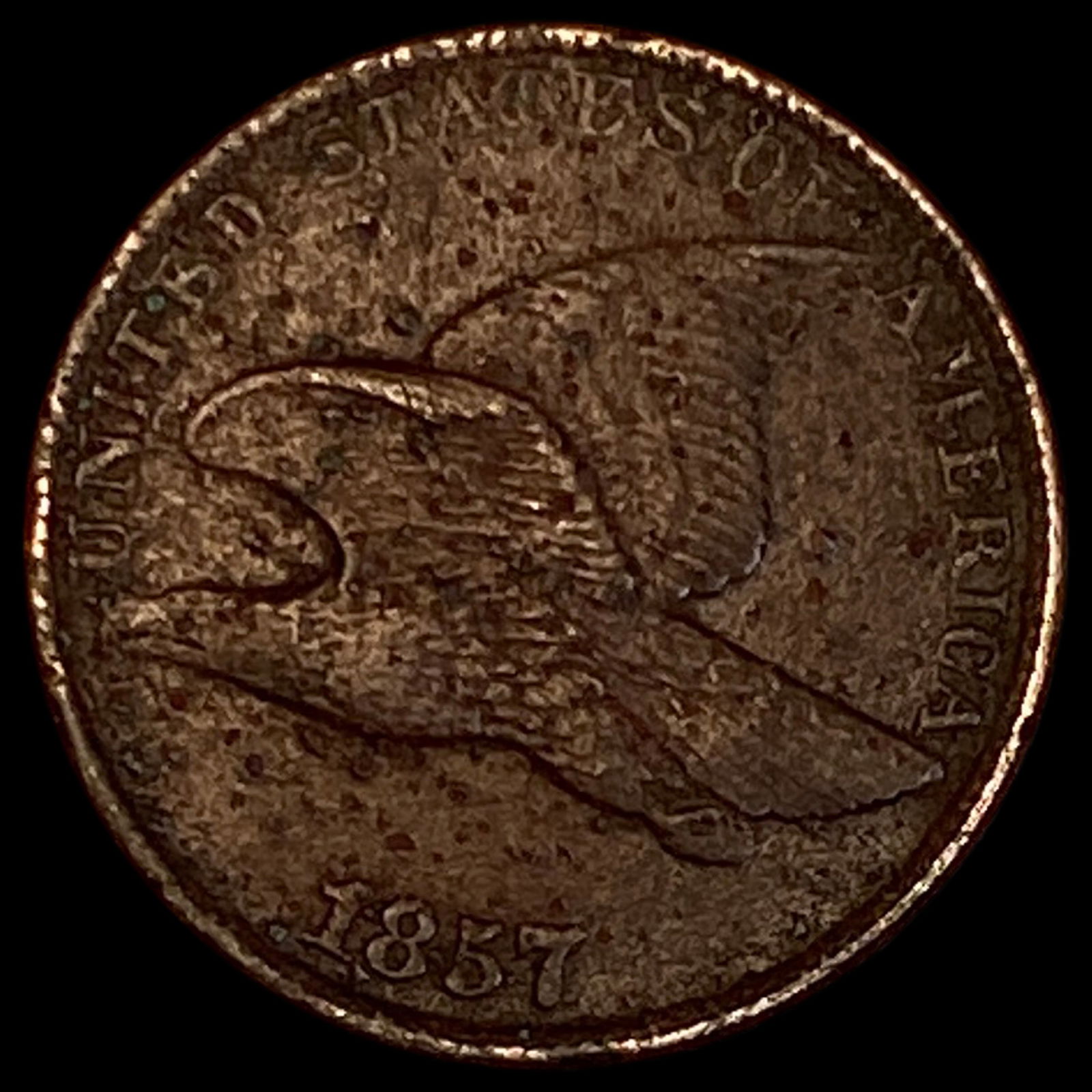 1857 Flying Eagle Cent LIGHTLY CIRCULATED: 1857 Flying Eagle Cent LIGHTLY CIRCULATED