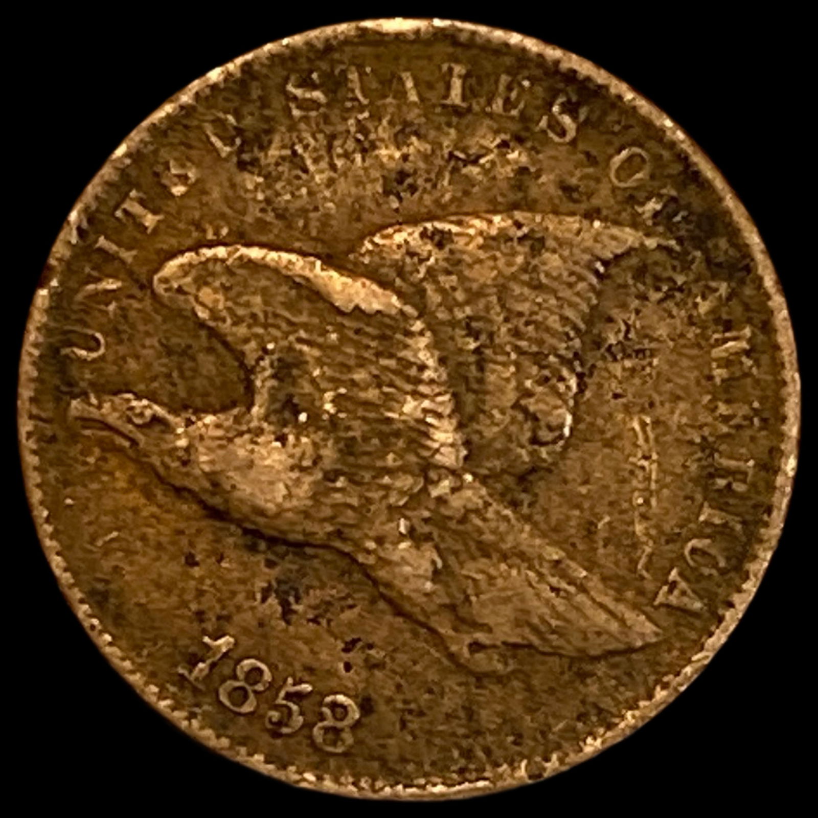 1858 Flying Eagle Cent LIGHTLY CIRCULATED: 1858 Flying Eagle Cent LIGHTLY CIRCULATED