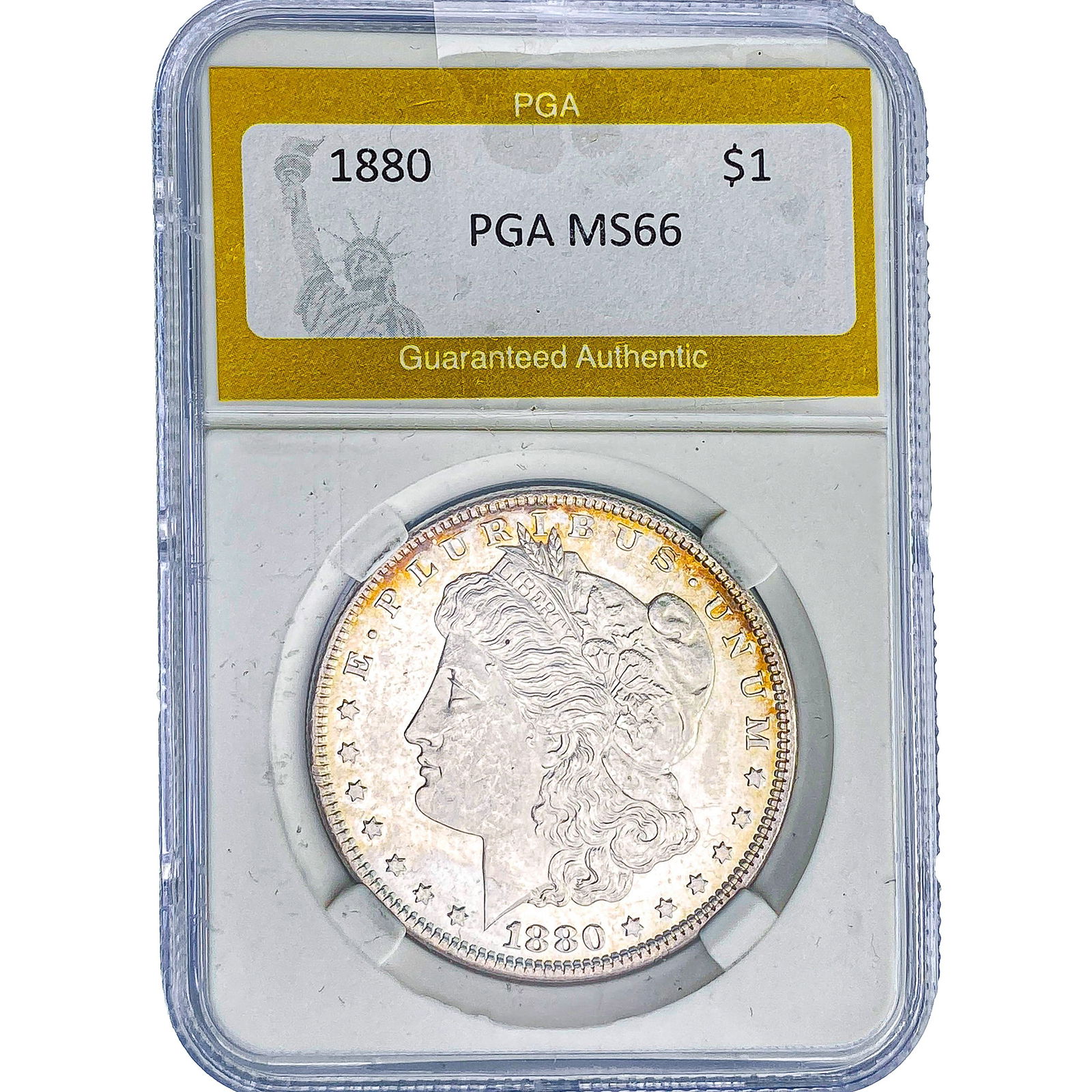 1880 Morgan Silver Dollar PGA MS66: 1880 Morgan Silver Dollar PGA MS66