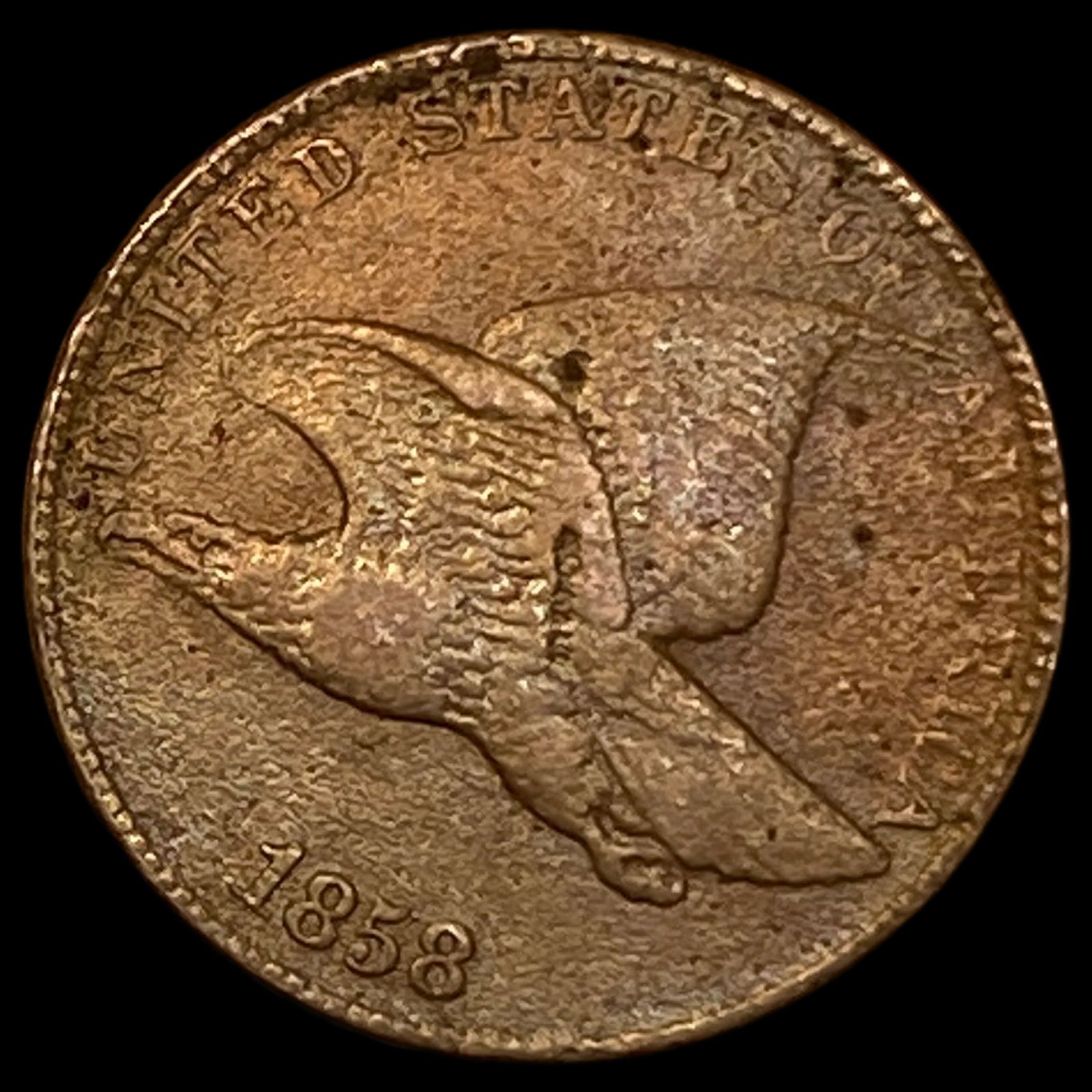 1858 Flying Eagle Cent LIGHTLY CIRCULATED: 1858 Flying Eagle Cent LIGHTLY CIRCULATED