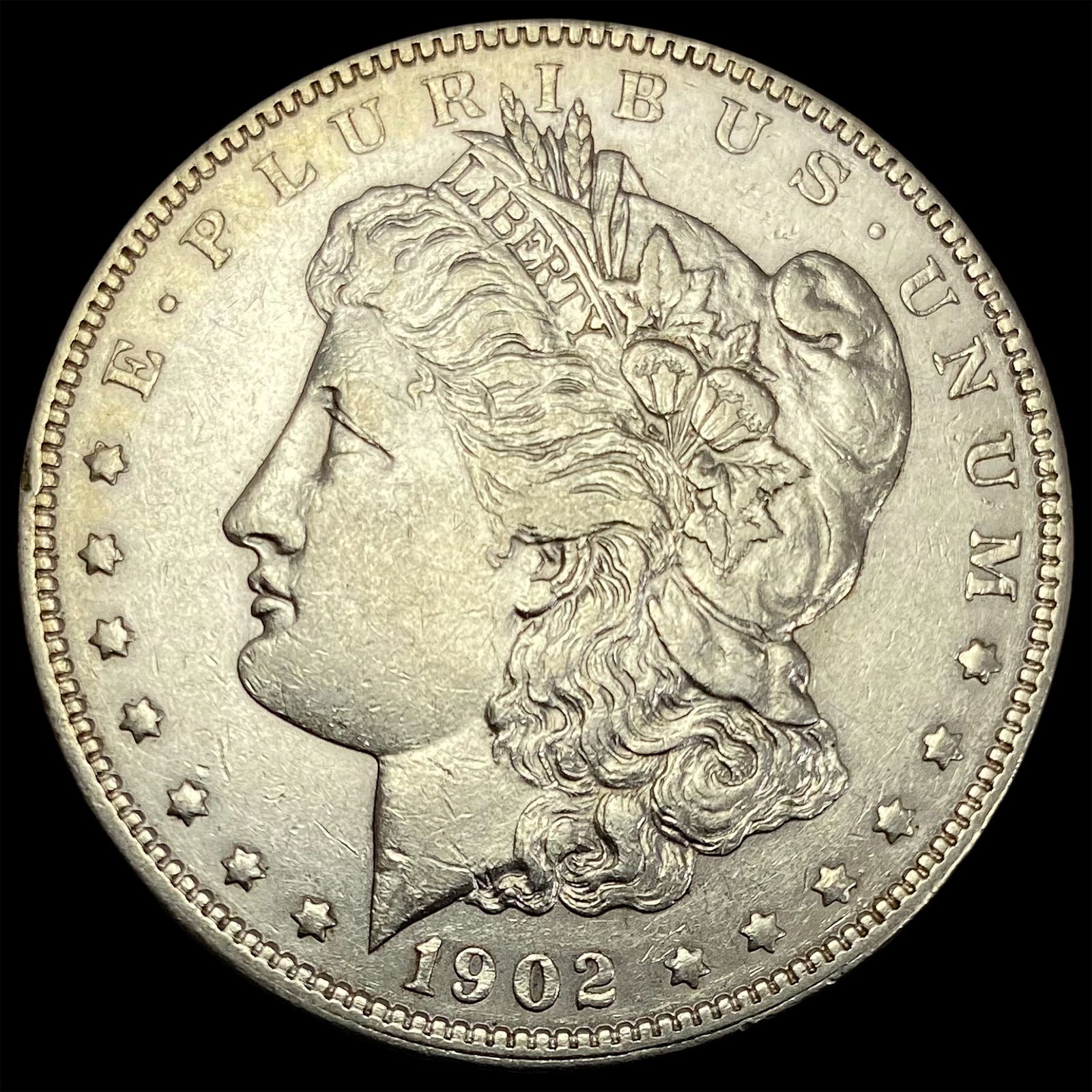 1902 Morgan Silver Dollar CLOSELY UNCIRCULATED (1 of 2)
