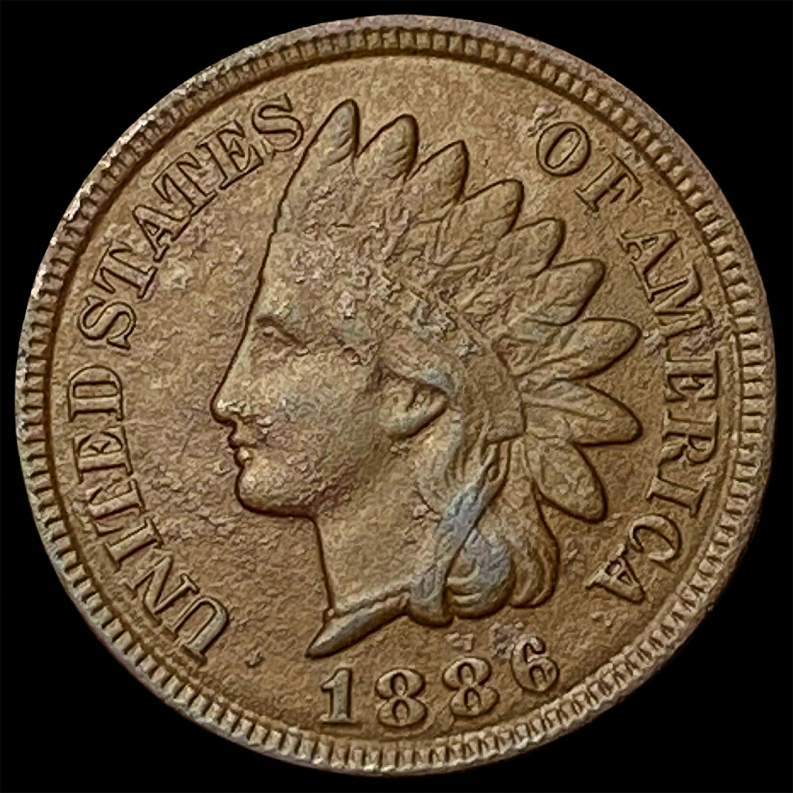 1886 Indian Head Cent NEARLY UNCIRCULATED (1 of 2)