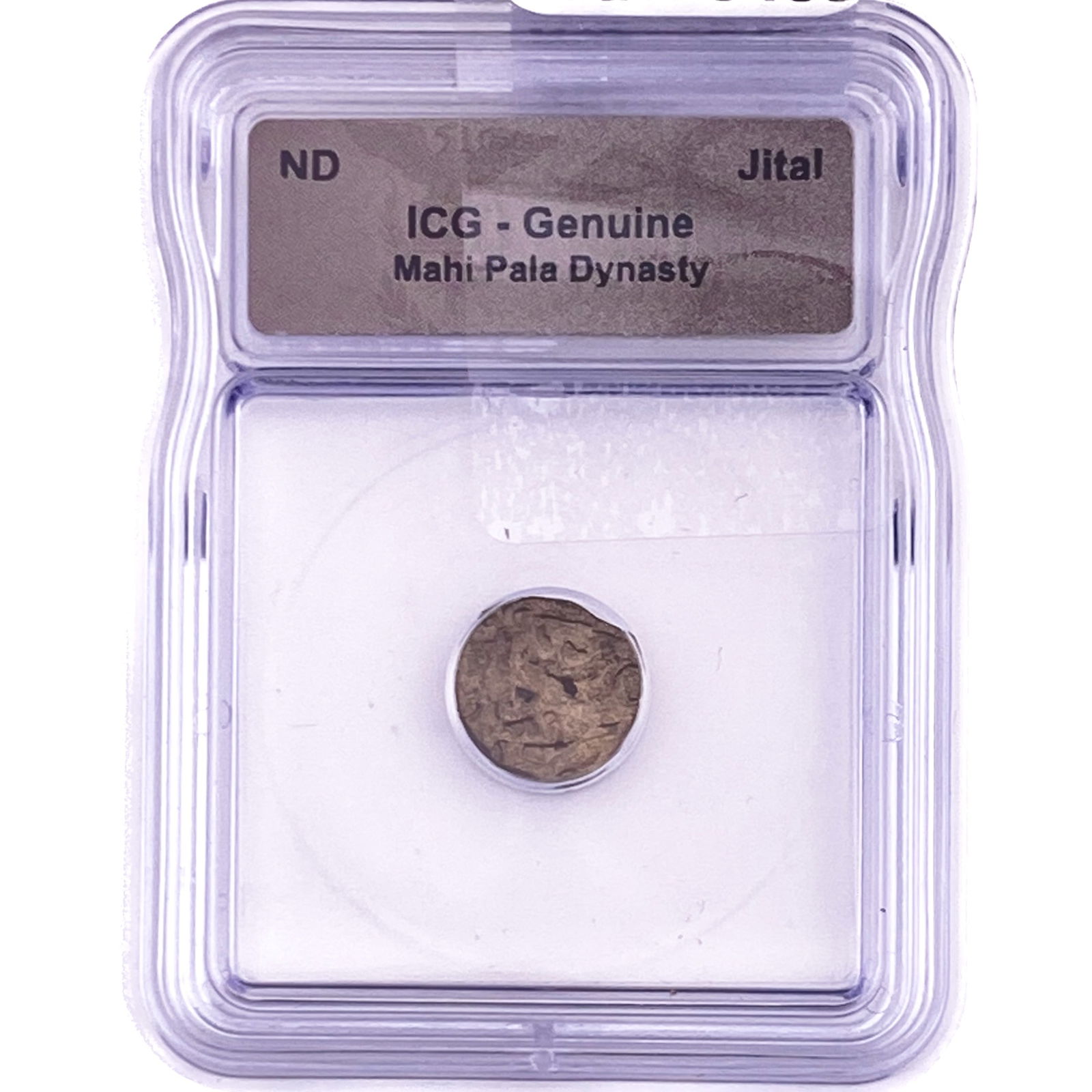 Mahi Pala Dynasty Jital ICG Genuine: Mahi Pala Dynasty Jital ICG Genuine