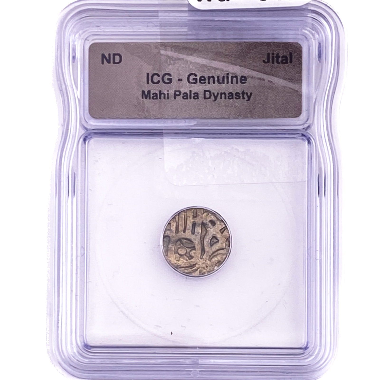 Mahi Pala Dynasty Jital ICG Genuine: Mahi Pala Dynasty Jital ICG Genuine
