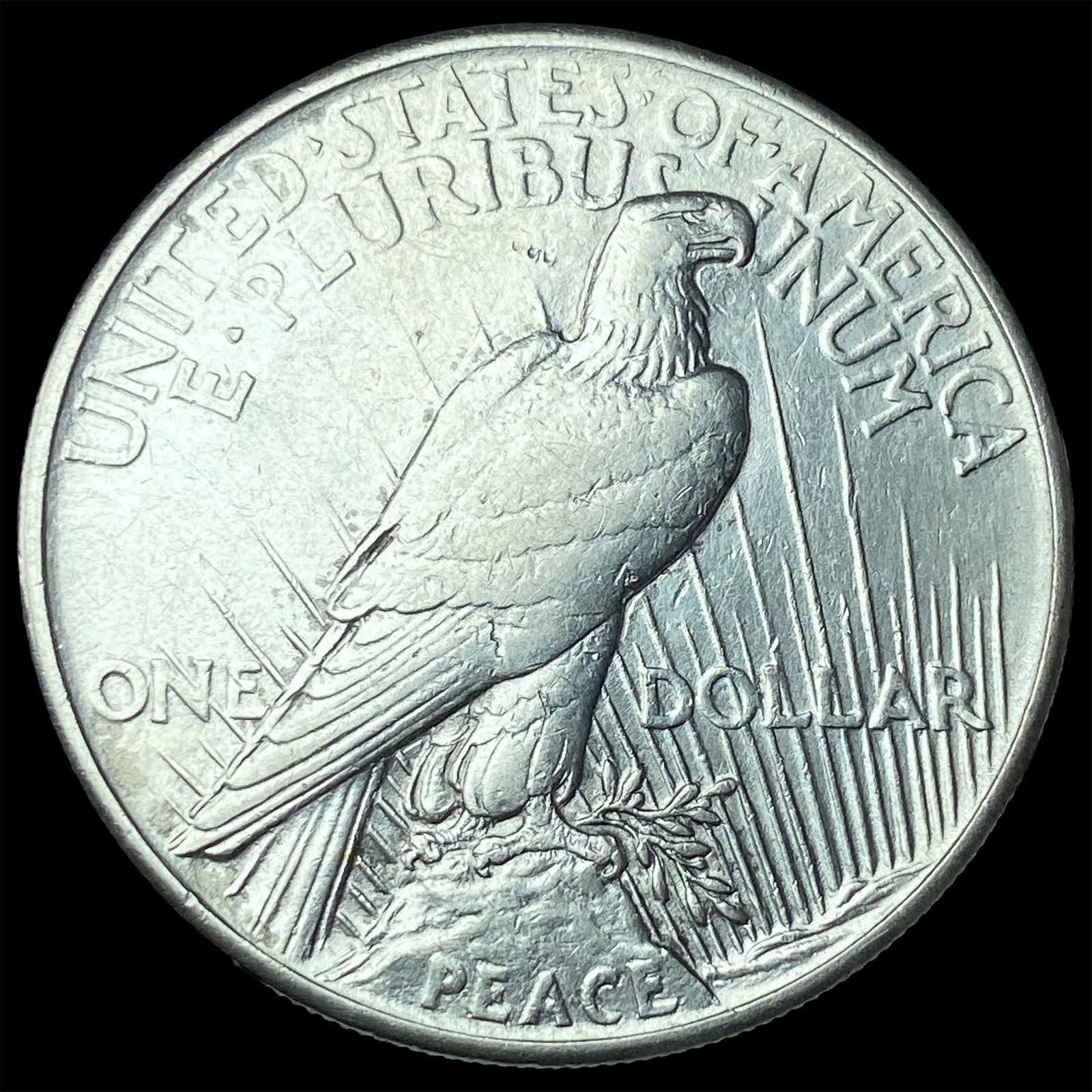 1921 Silver Peace Dollar CLOSELY UNCIRCULATED - 2