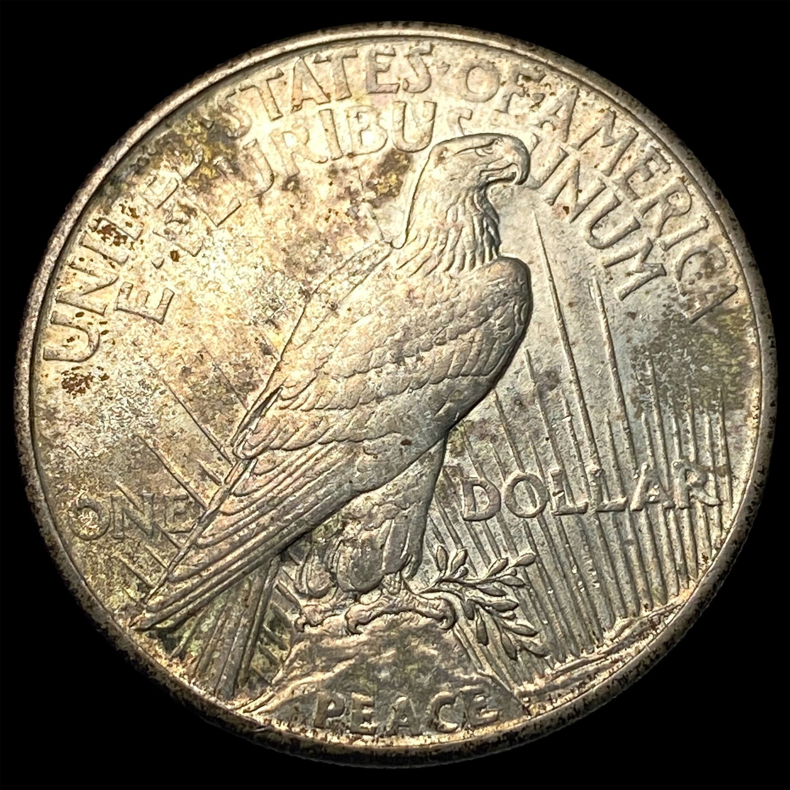 1921 Silver Peace Dollar CLOSELY UNCIRCULATED - 2