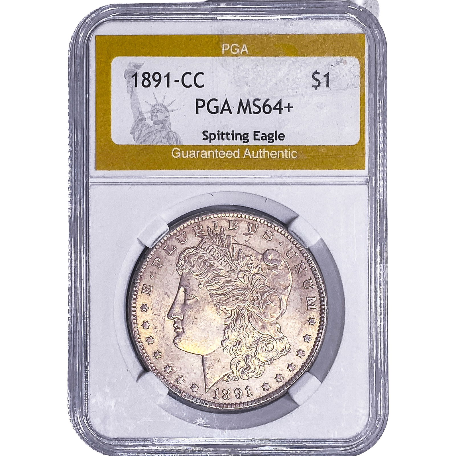 1891-CC Morgan Silver Dollar PGA MS64+ (1 of 2)