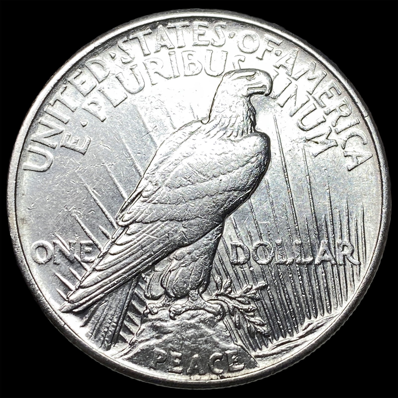 1921 Silver Peace Dollar CLOSELY UNCIRCULATED - 2