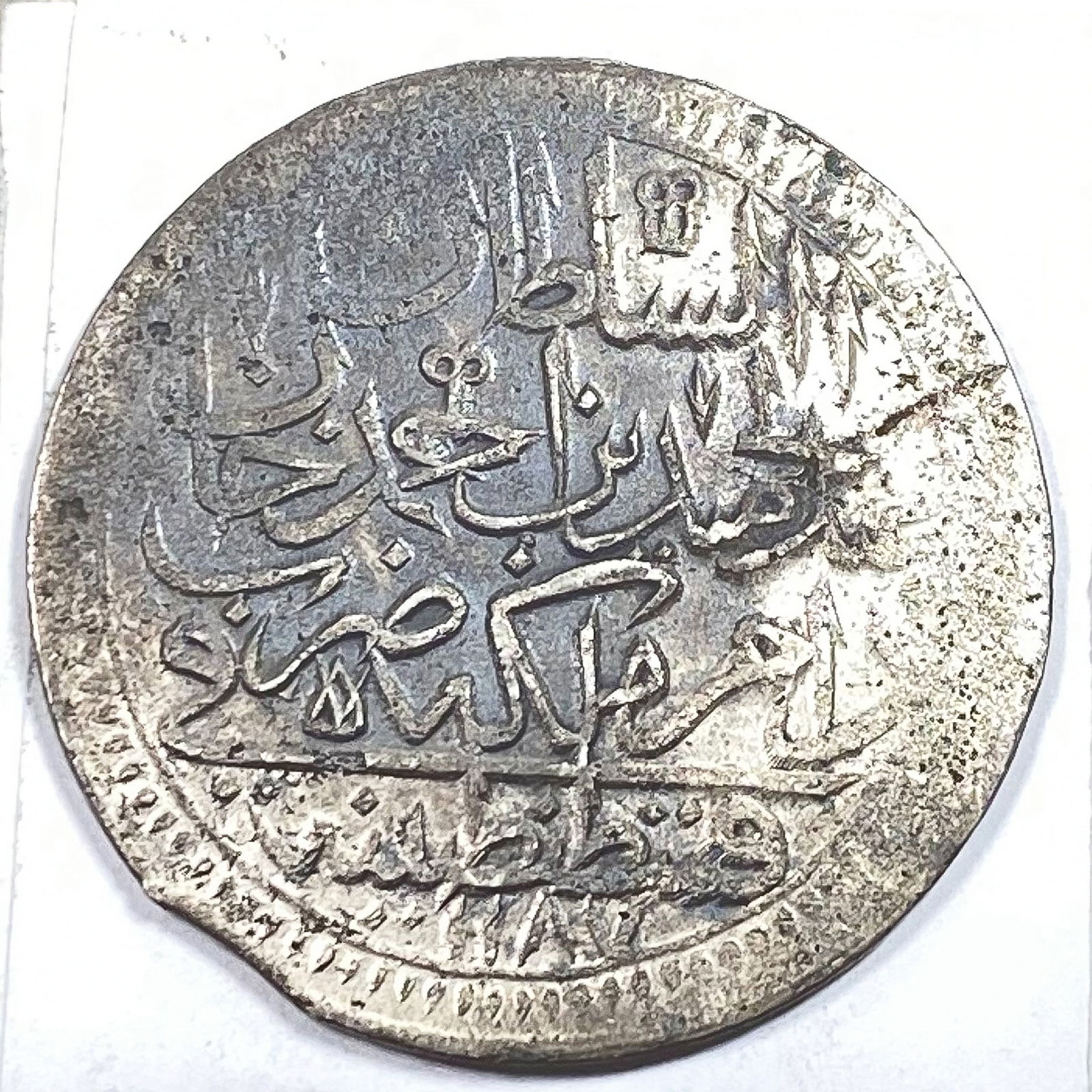 1187/11 Silver Turkey 2 Zolota: 1187/11 Silver Turkey 2 Zolota