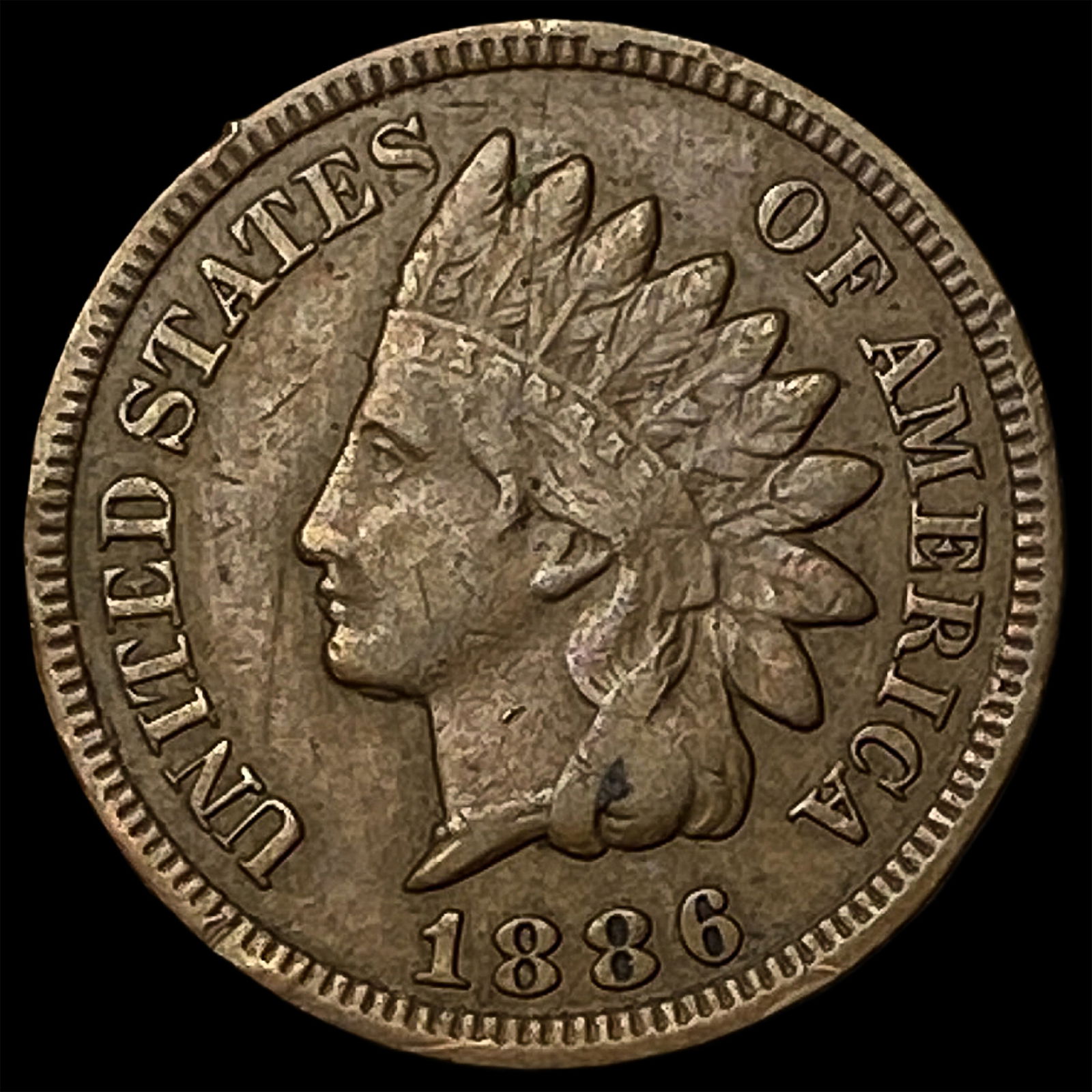 1886 Indian Head Cent LIGHTLY CIRCULATED: 1886 Indian Head Cent LIGHTLY CIRCULATED