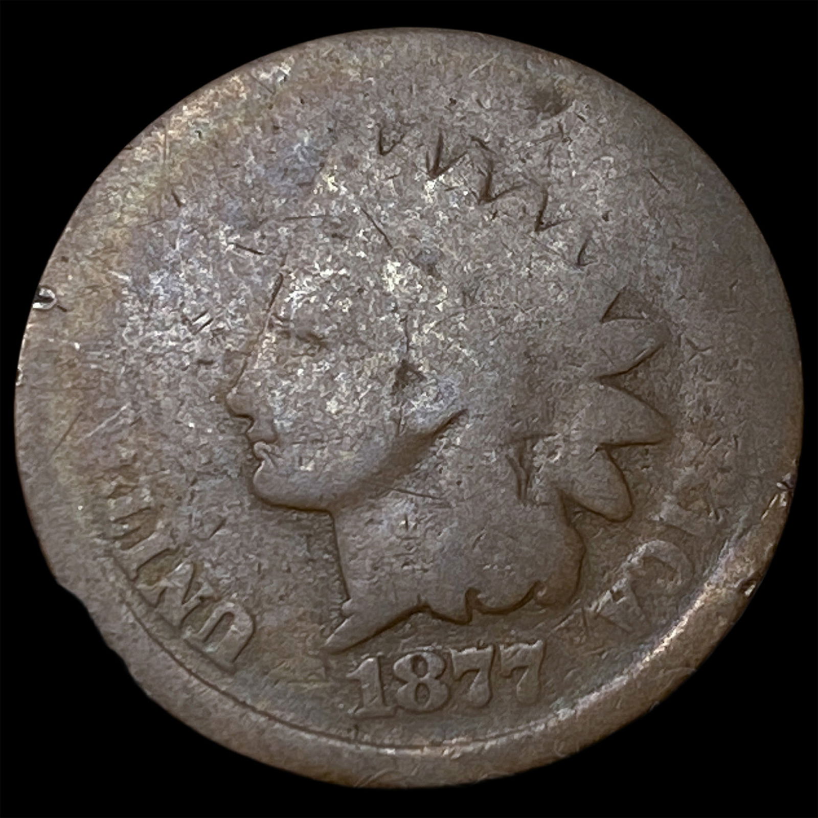 1877 Indian Head Cent NICELY CIRCULATED (1 of 2)