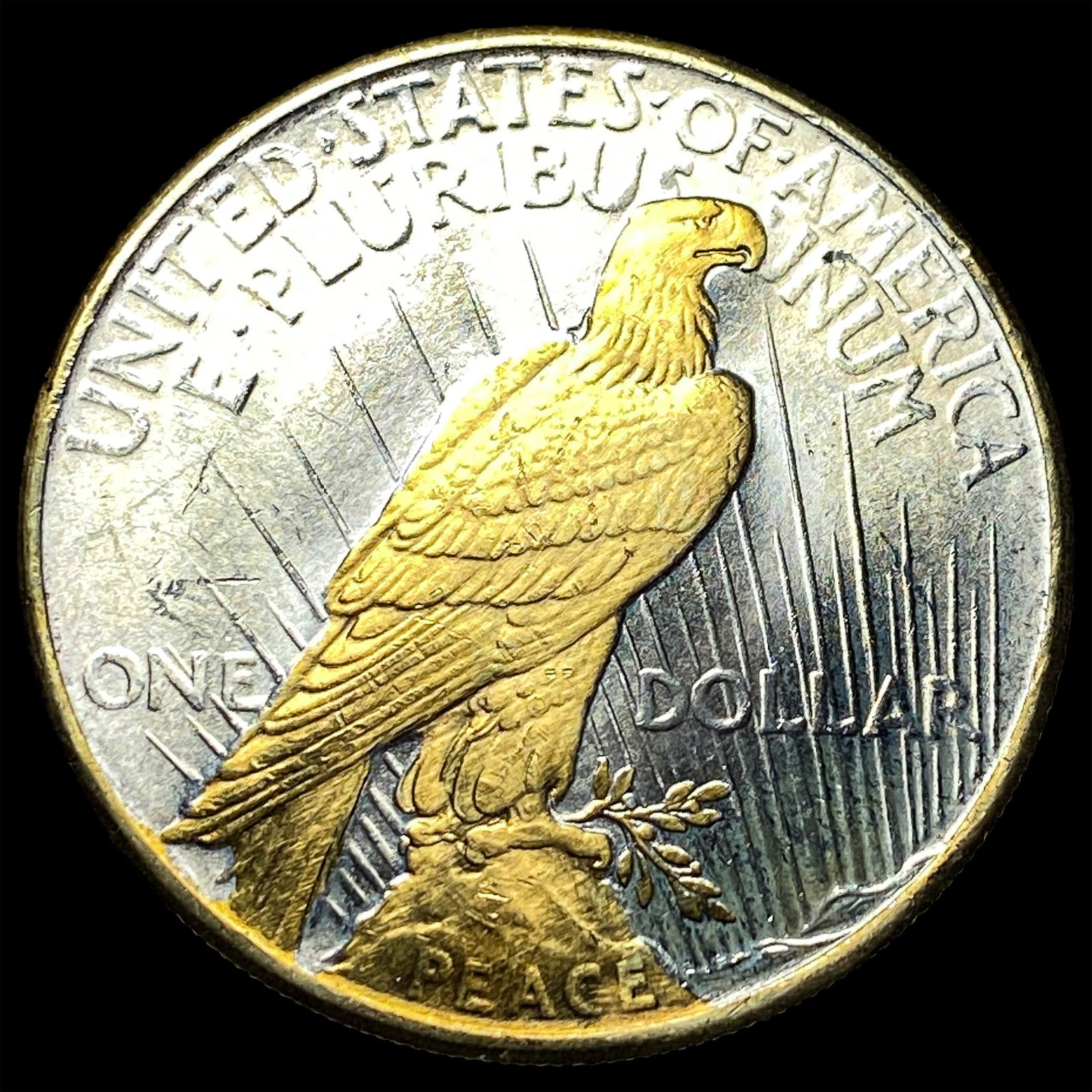 1925 Silver Peace Dollar HIGH GRADE - 2