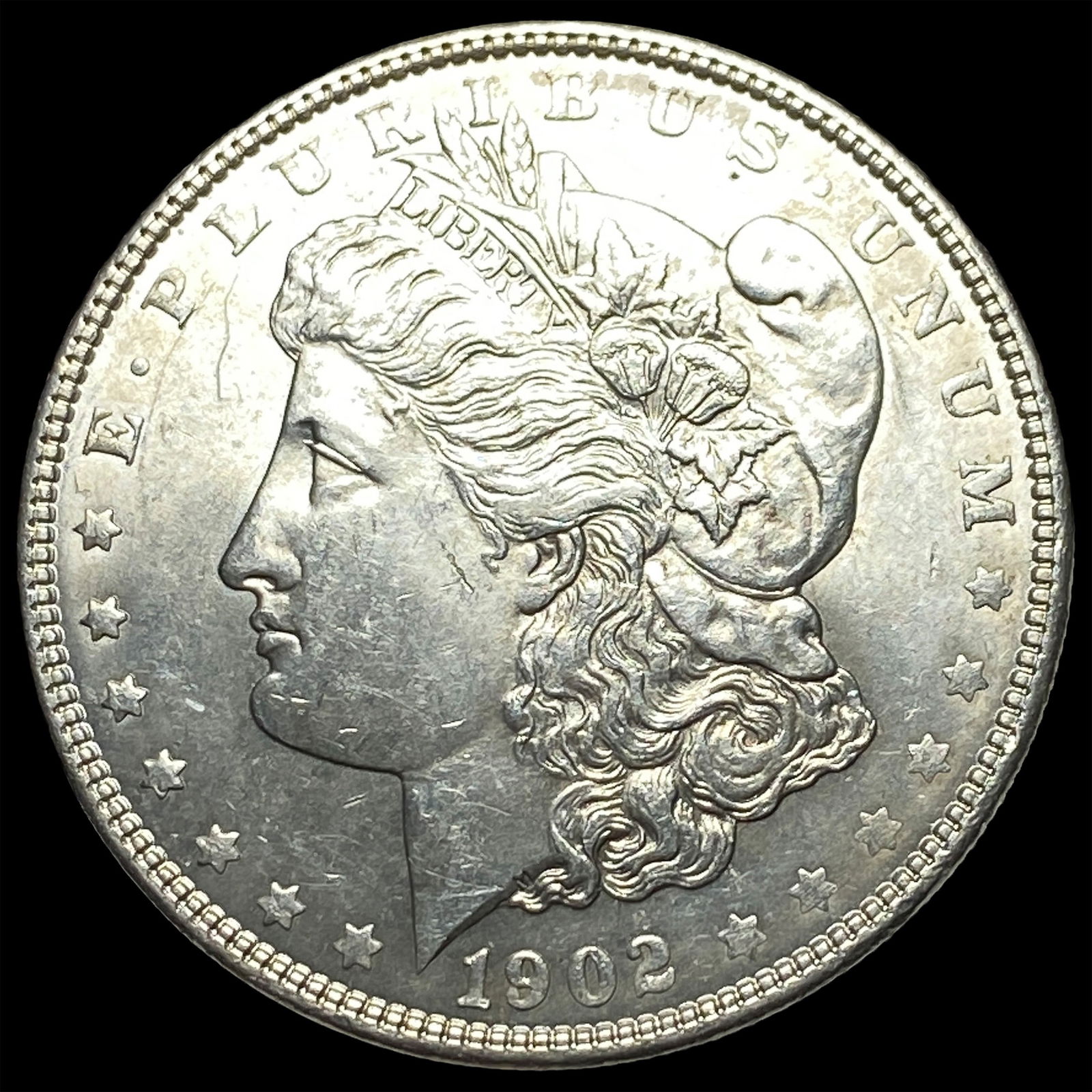 1902 Morgan Silver Dollar CHOICE BU (1 of 2)