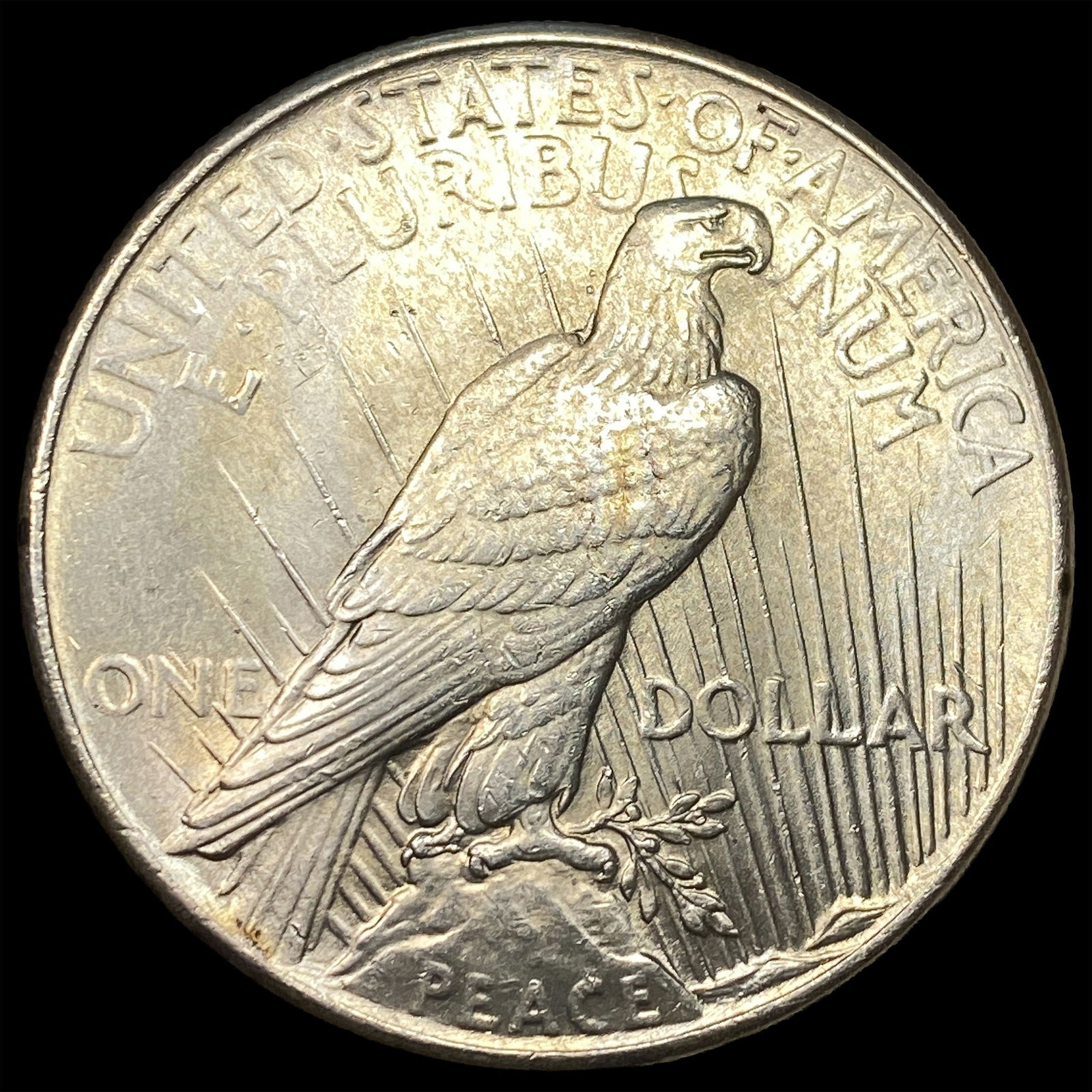 1925 Peace Silver Dollar UNCIRCULATED - 2