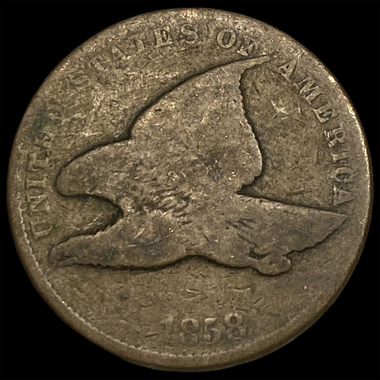 1858 Copper-Nickel Flying Eagle Cent NICELY CIRCULATED: 1858 Copper-Nickel Flying Eagle Cent NICELY CIRCULATED
