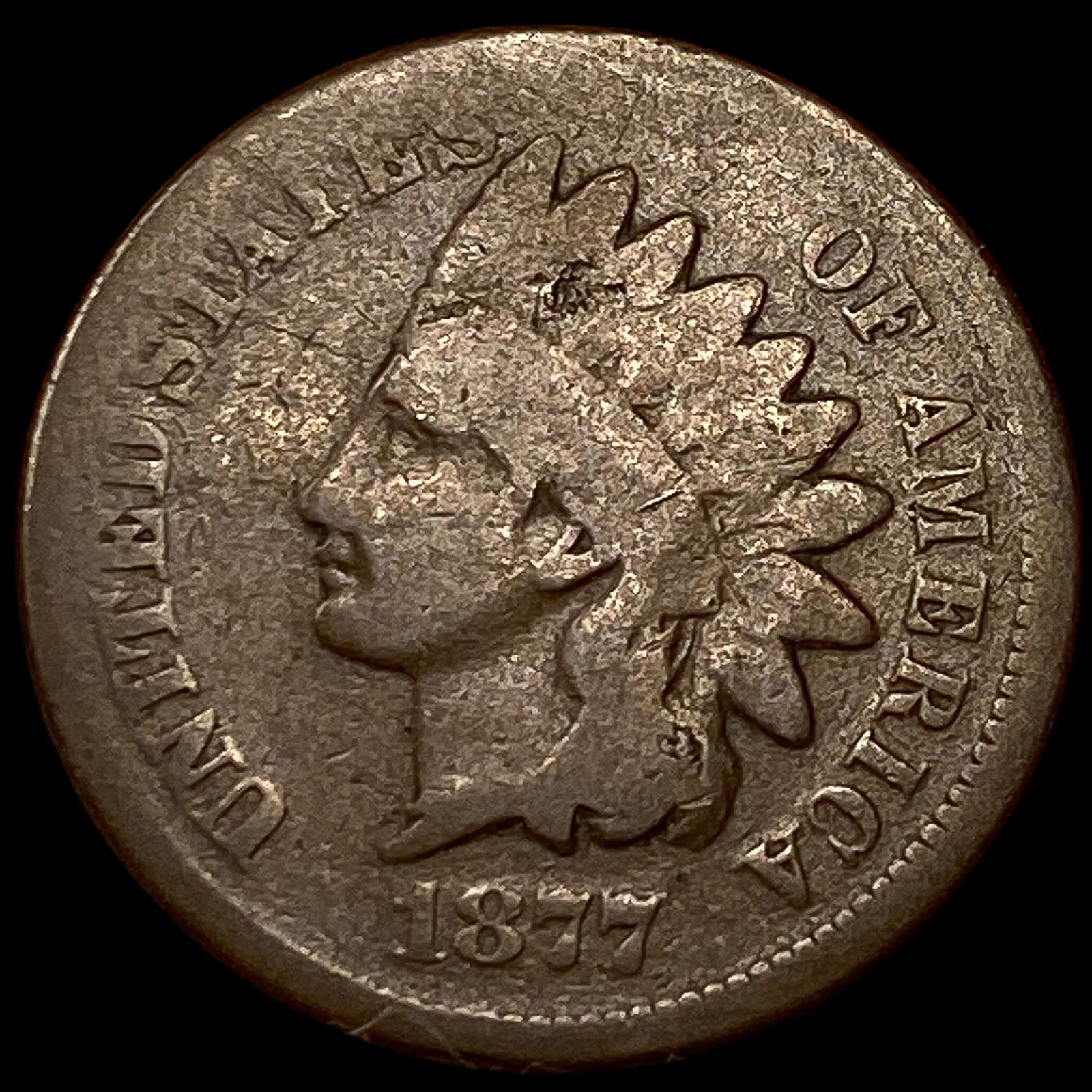 1877 Indian Head Cent NICELY CIRCULATED: 1877 Indian Head Cent NICELY CIRCULATED