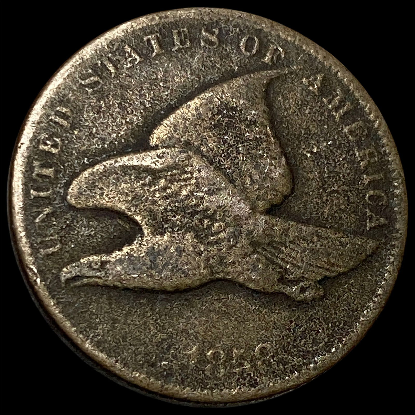 1858 Copper-Nickel Flying Eagle Cent NICELY CIRCULATED: 1858 Copper-Nickel Flying Eagle Cent NICELY CIRCULATED