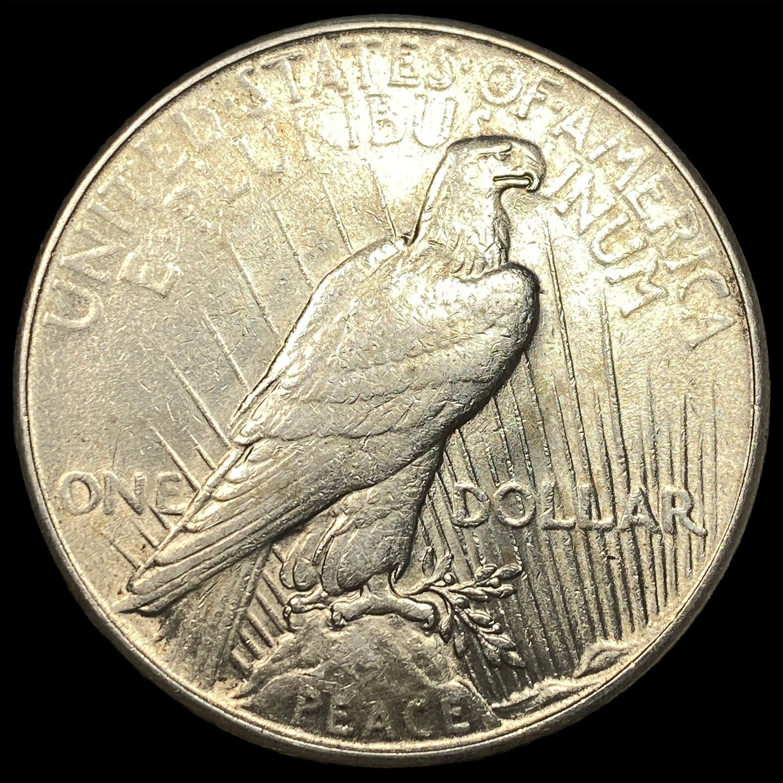 1935 Silver Peace Dollar CLOSELY UNCIRCULATED - 2