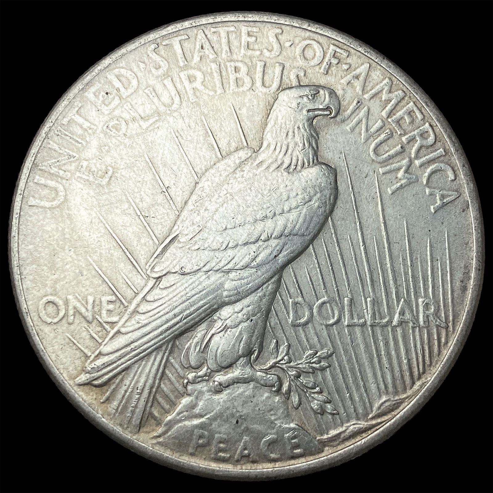 1925 Silver Peace Dollar CLOSELY UNCIRCULATED - 2