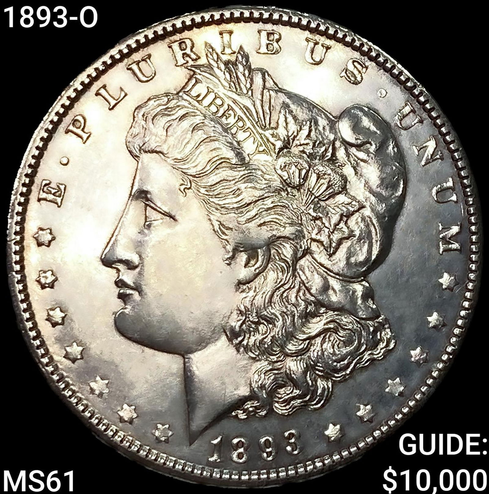 1893-O Morgan Silver Dollar (1 of 2)