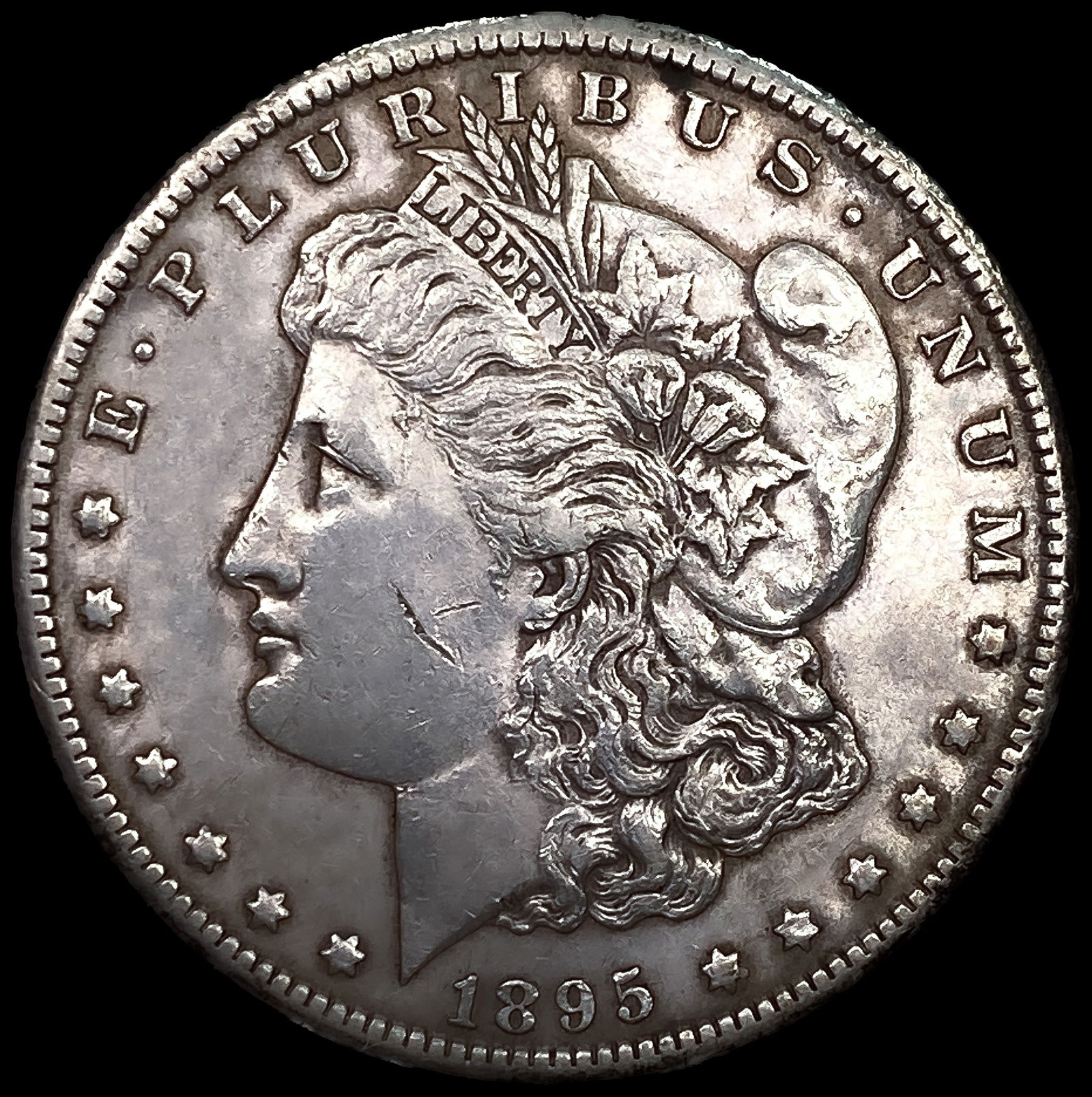 1895-S Morgan Silver Dollar: 1895-S Morgan Silver Dollar