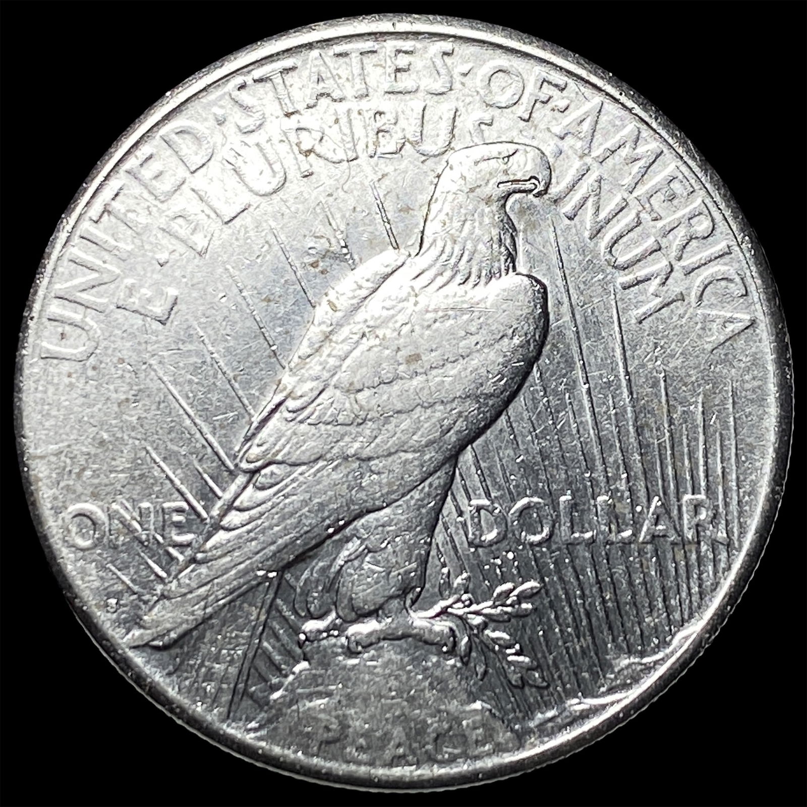 1924 Peace Silver Dollar CLOSELY UNCIRCULATED - 2
