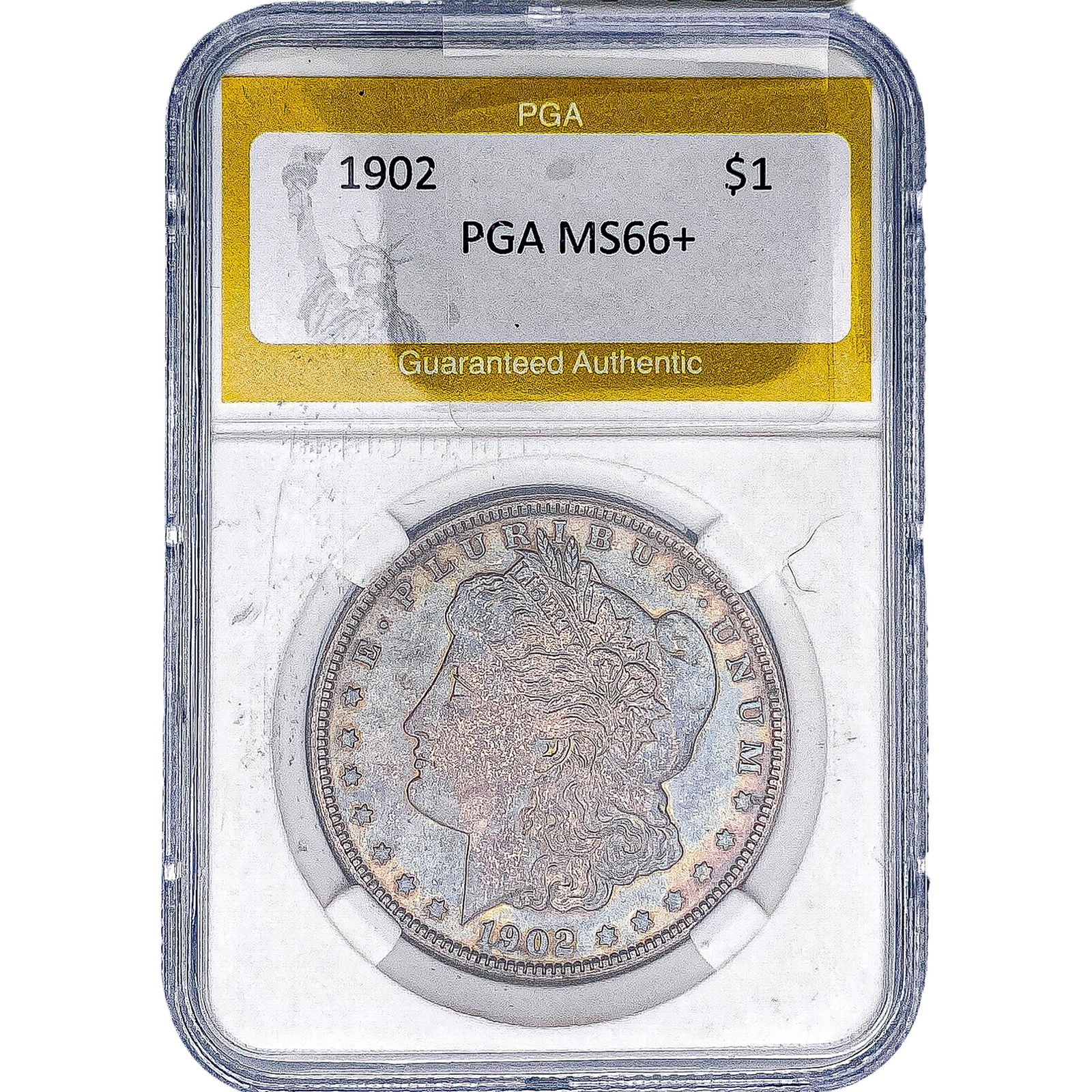 1902 Morgan Silver Dollar PGA MS66+: 1902 Morgan Silver Dollar PGA MS66+