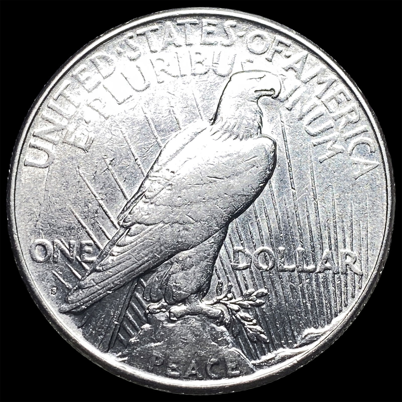 1925 Silver Peace Dollar CLOSELY UNCIRCULATED - 2