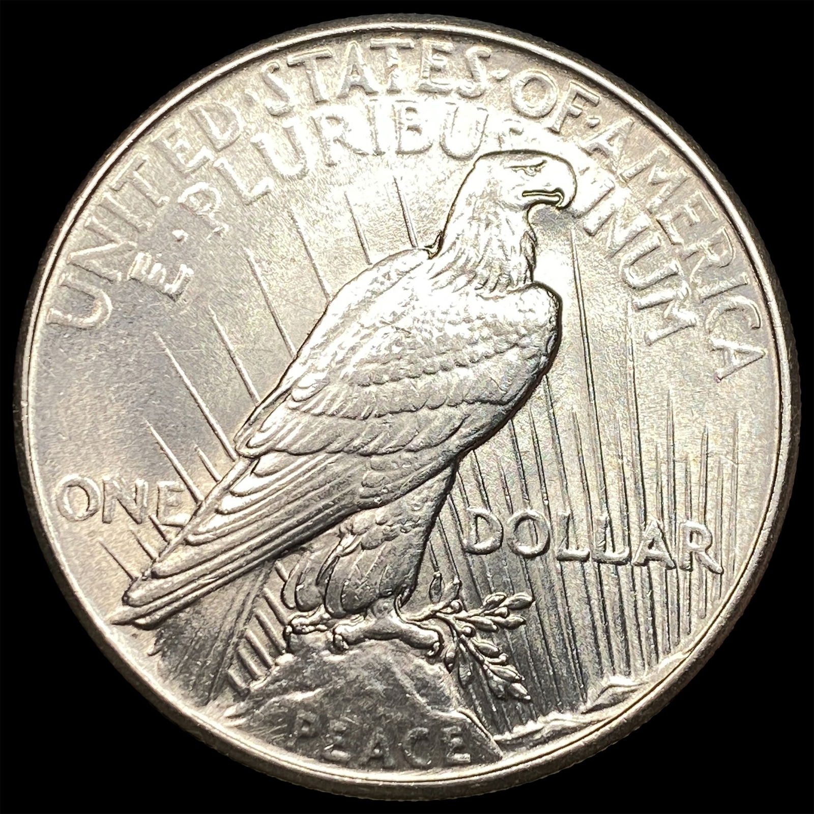1925 Silver Peace Dollar UNCIRCULATED - 2