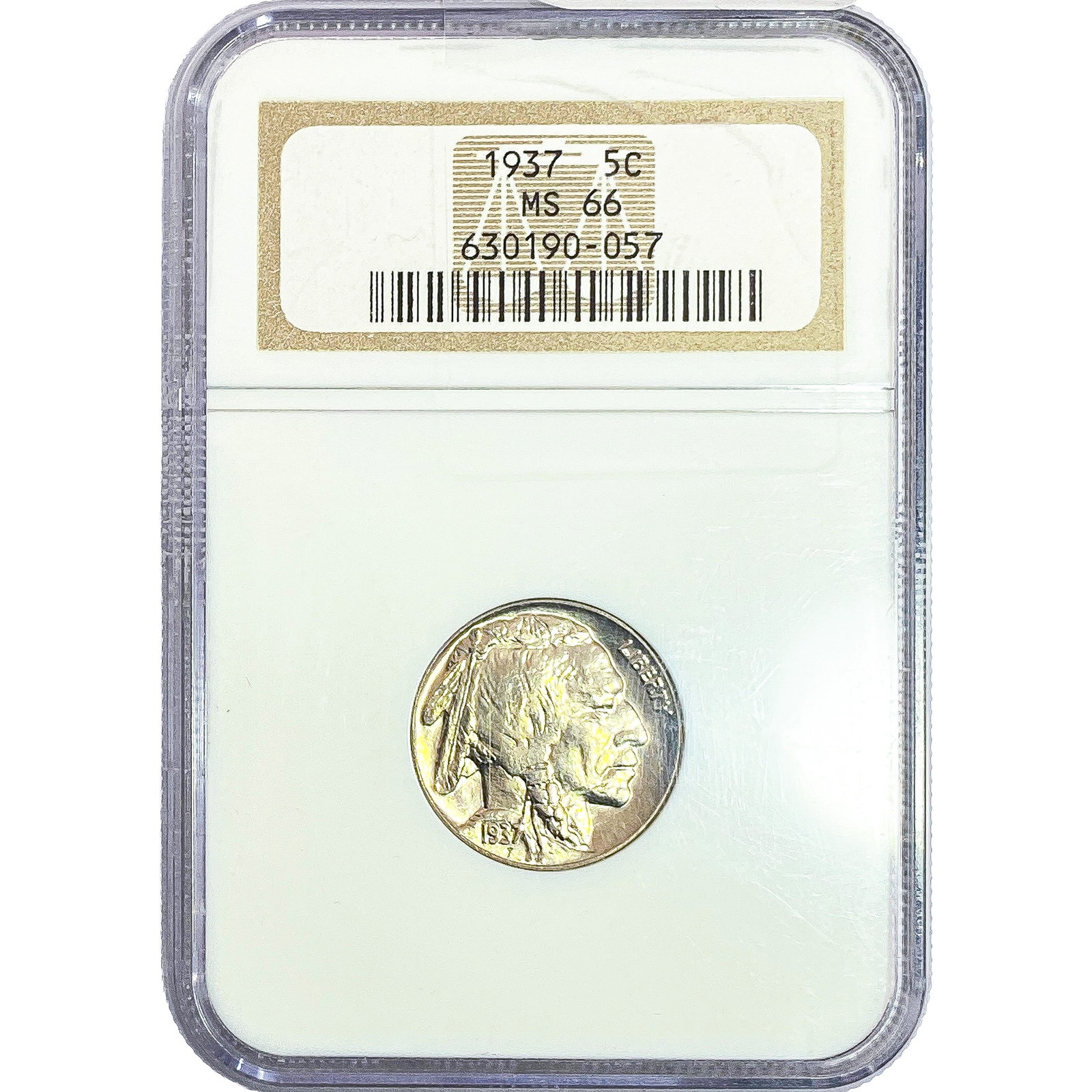 1937 Buffalo Nickel NGC MS66: 1937 Buffalo Nickel NGC MS66